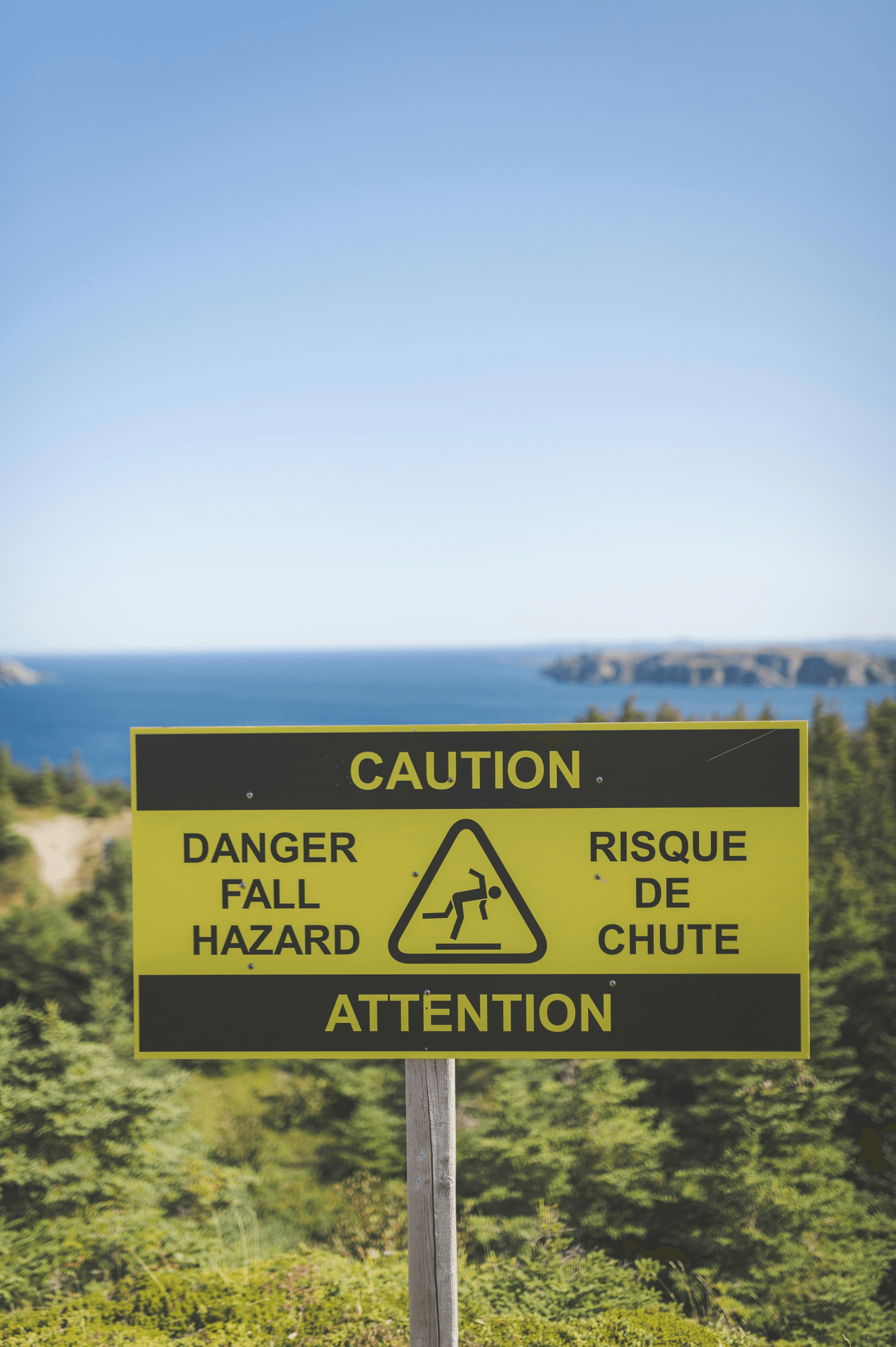 Section image