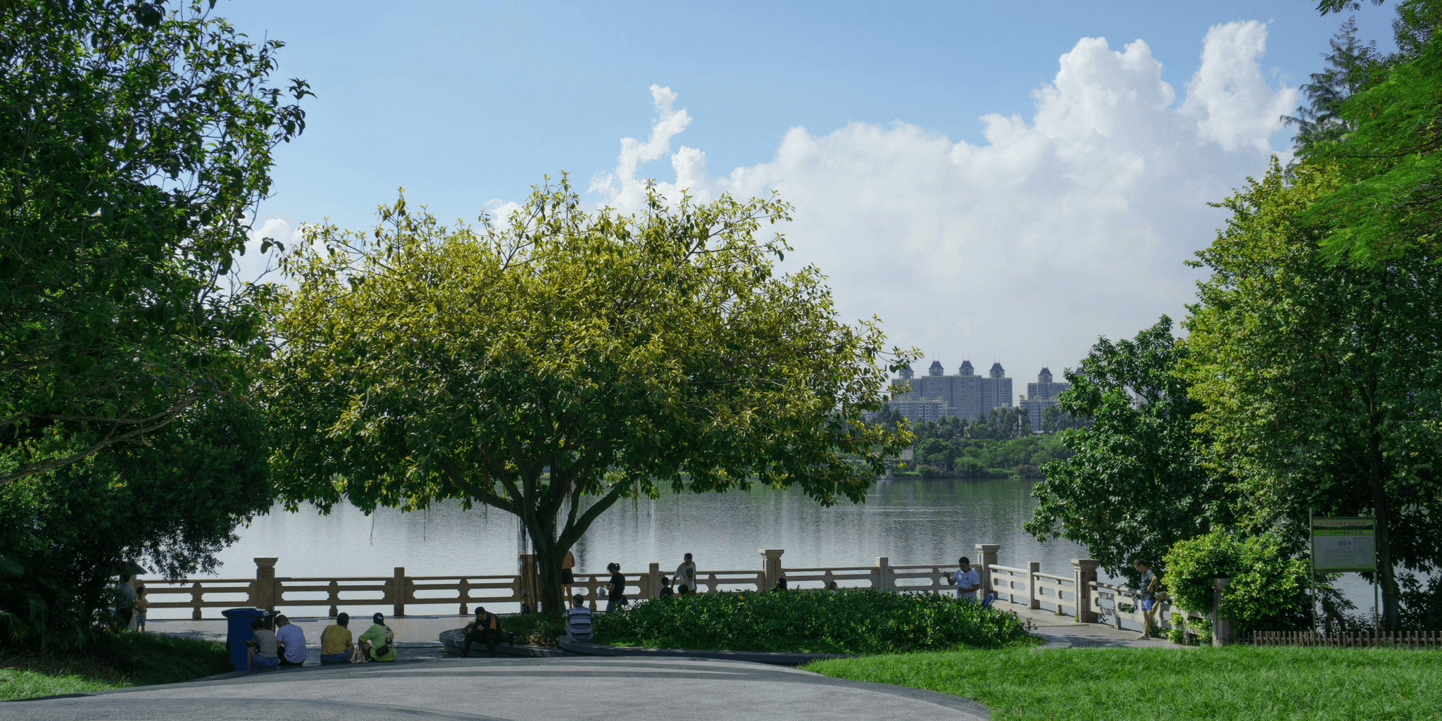 【森林療癒日常化】沒時間去大自然？從公園到辦公室，學會這 3 招打造你的日常綠意！｜淺顯易懂的行醫筆記｜療寮診所．板橋江子翠｜家醫科診所．健保一般科