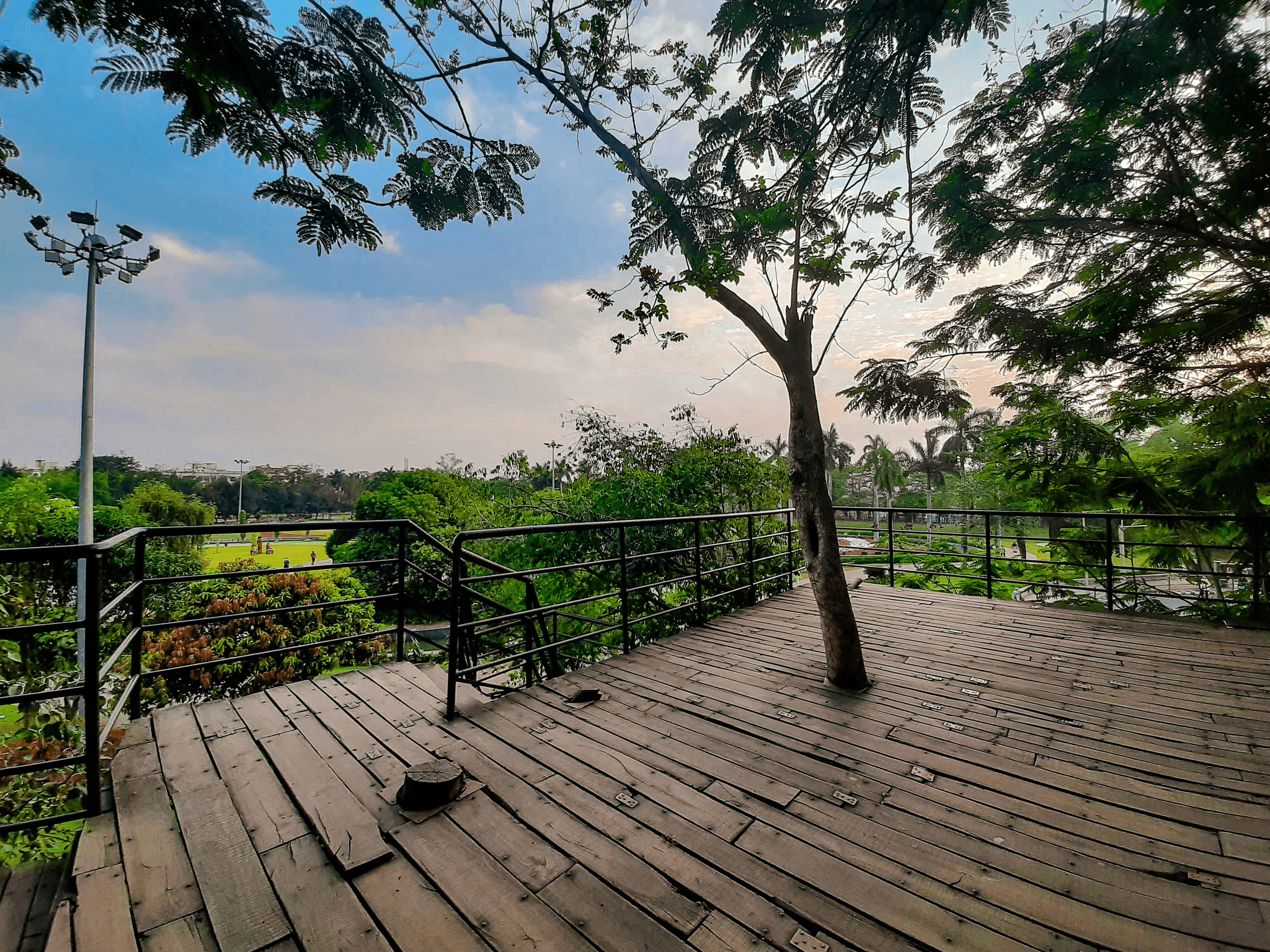 Treehouse site accommodation offering unique views