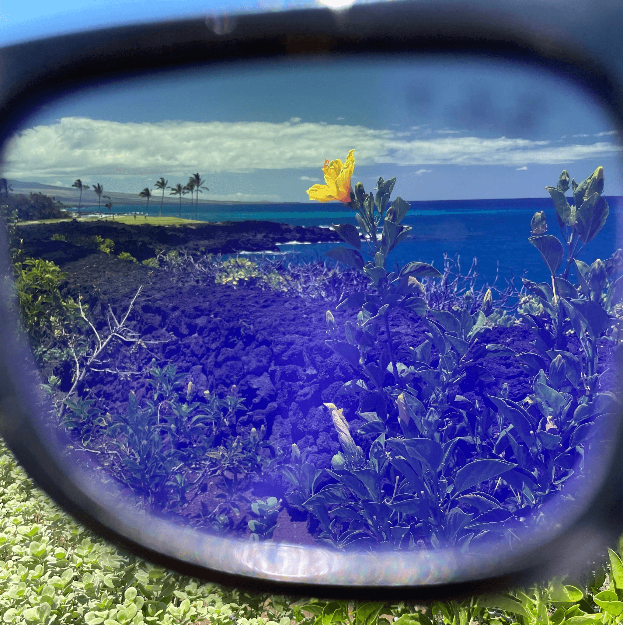 Comparison between mirrored vs polarized for driving