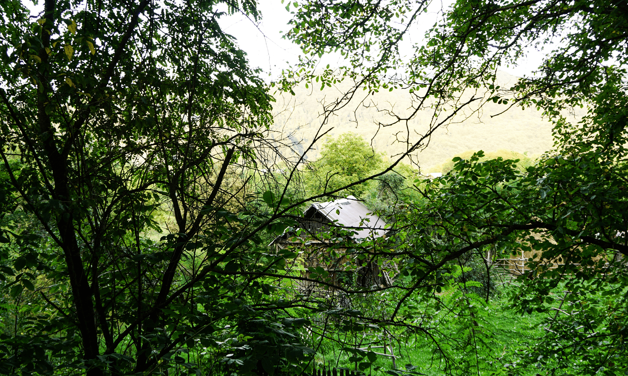 Cozy treehouse accommodation for unique Airbnb experience