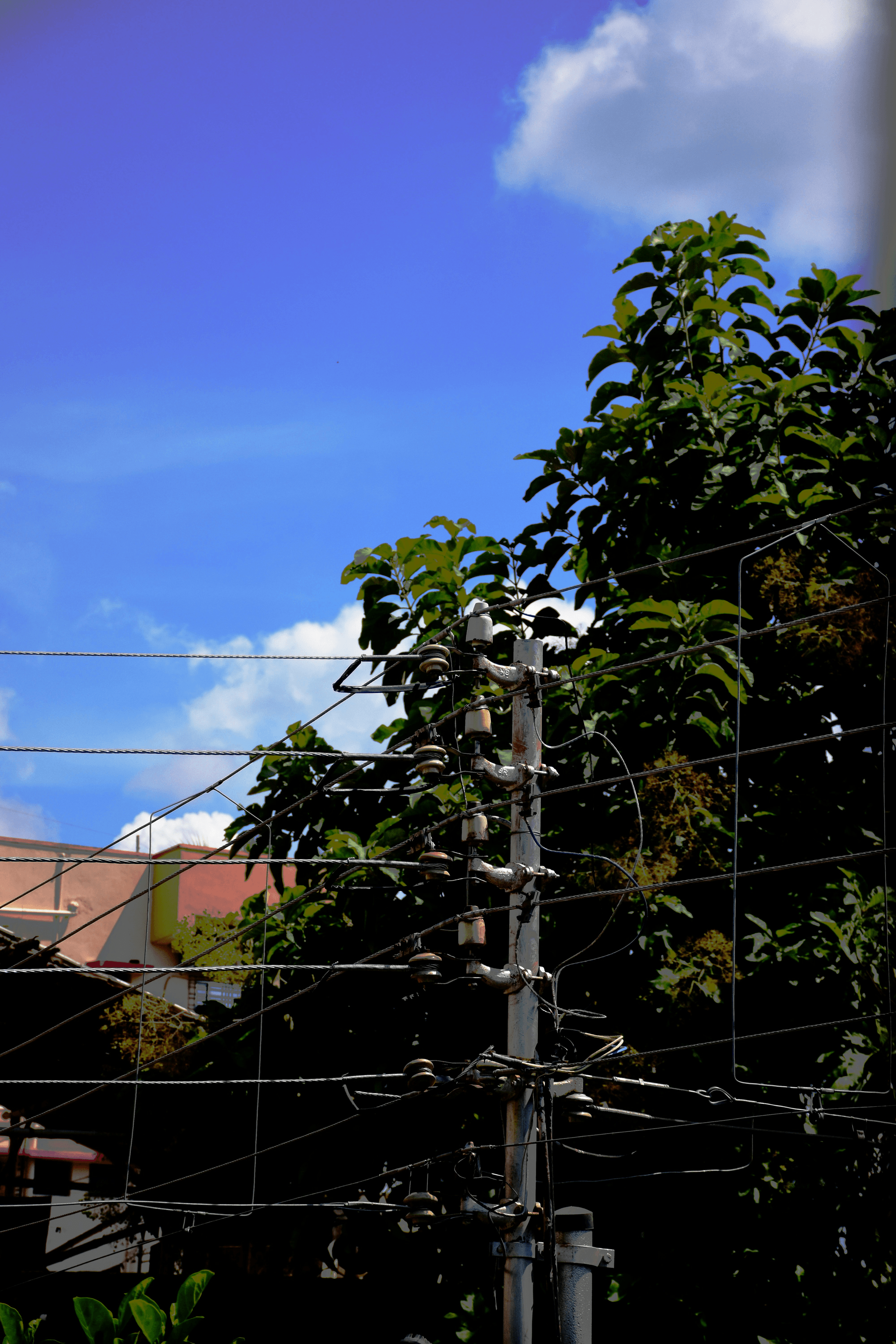 Different types of supporting structures showcasing essential power line components.