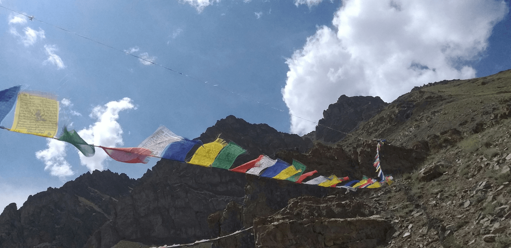 Tibetan vulture bird soaring above mountains during sky burial
