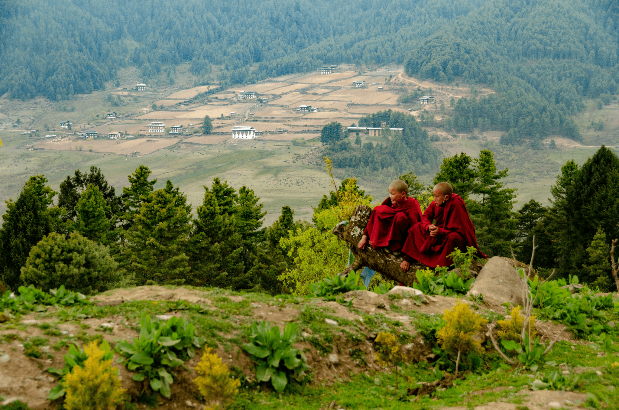 Exploring remote monasteries on a small group tibet travel package