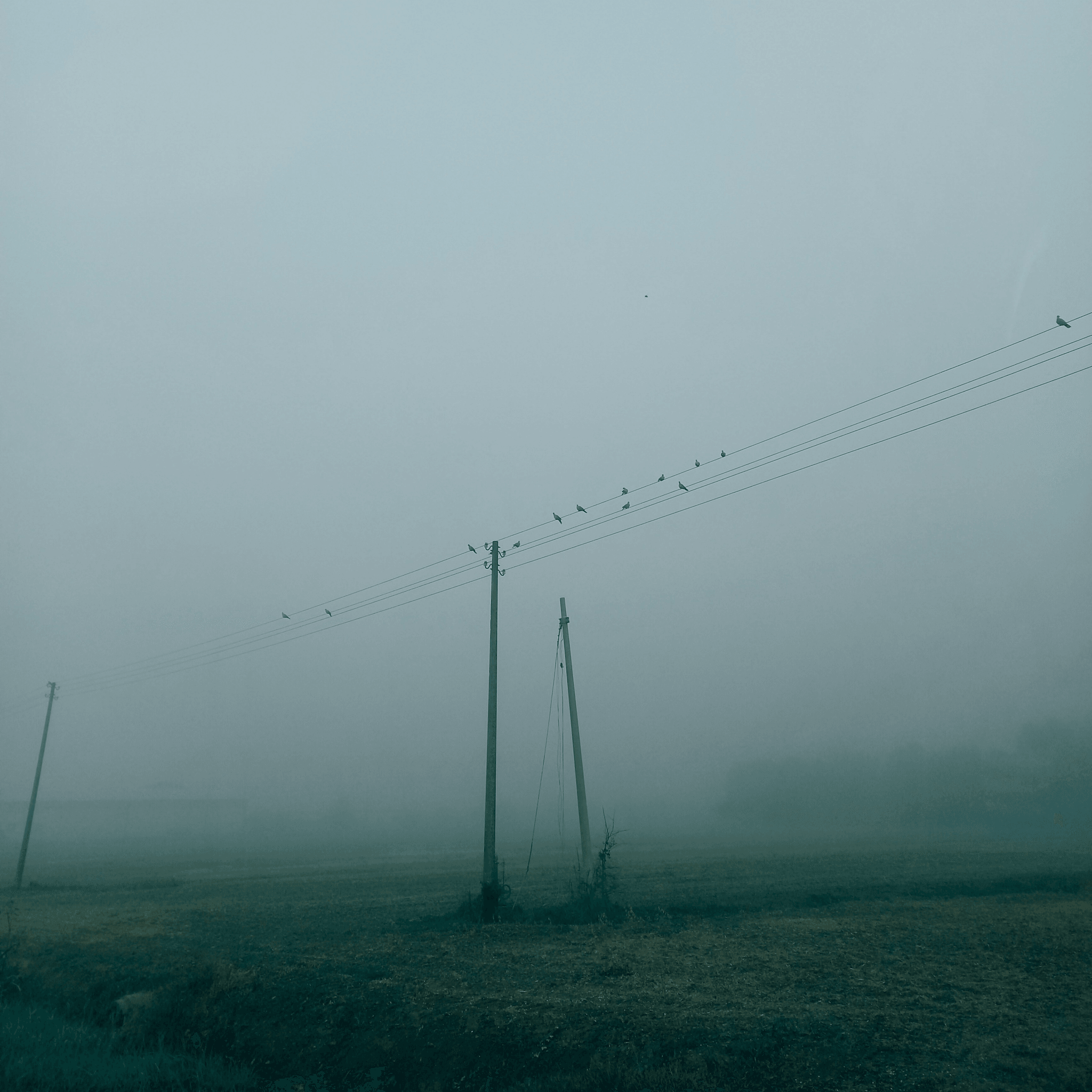 overhead power line guards protecting electrical infrastructure