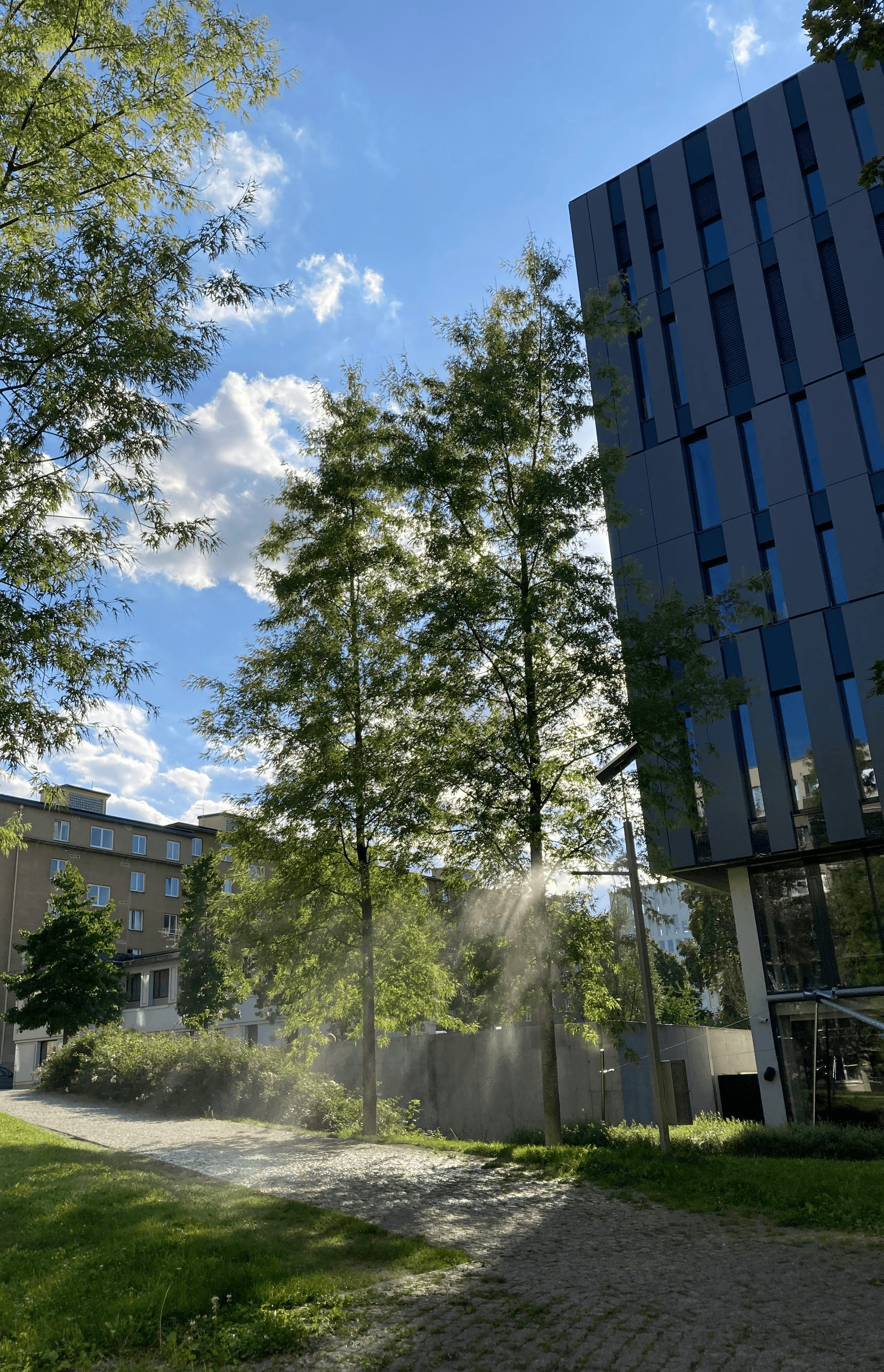 Innovative china school building featuring bamboo and recycled materials