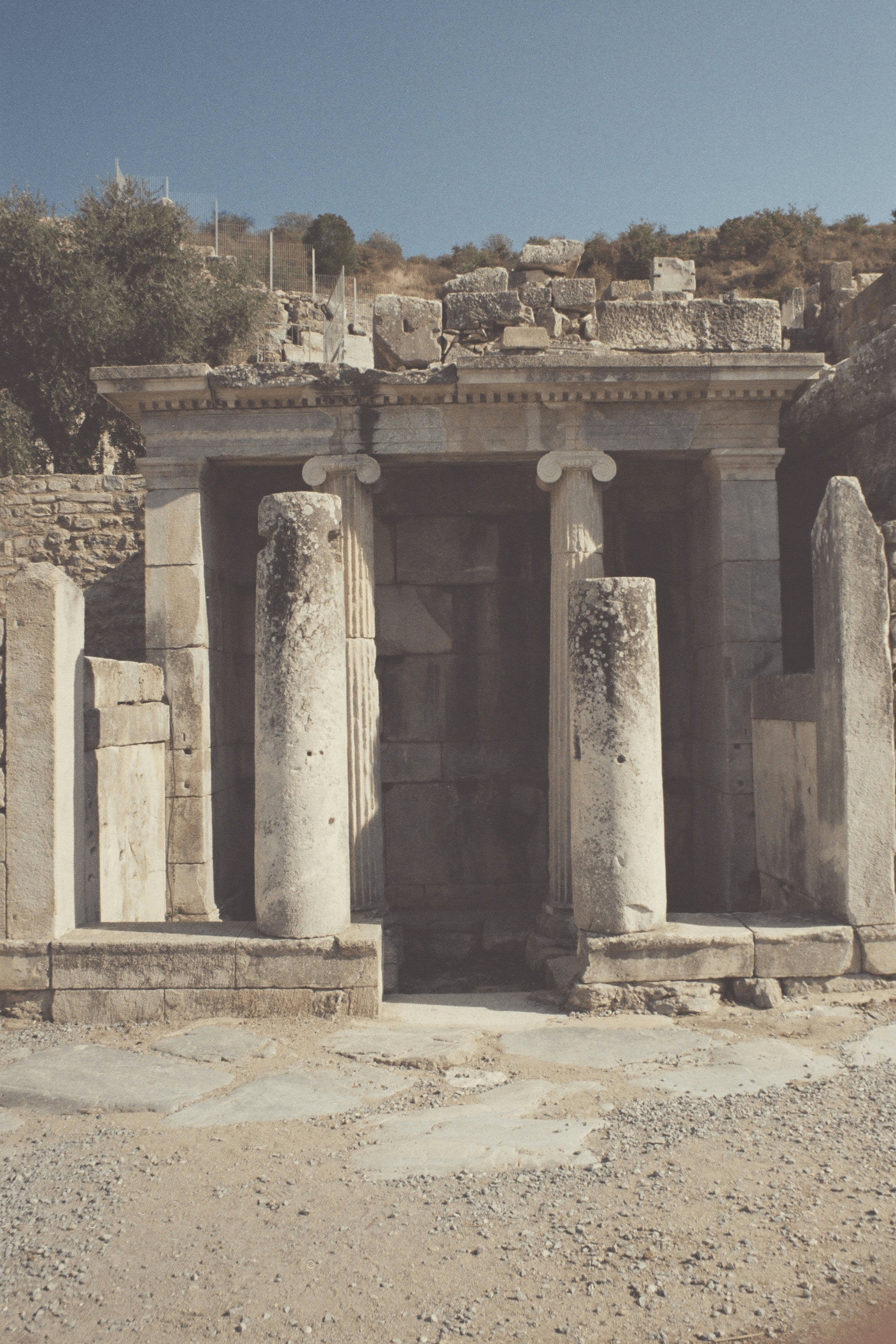 Section image