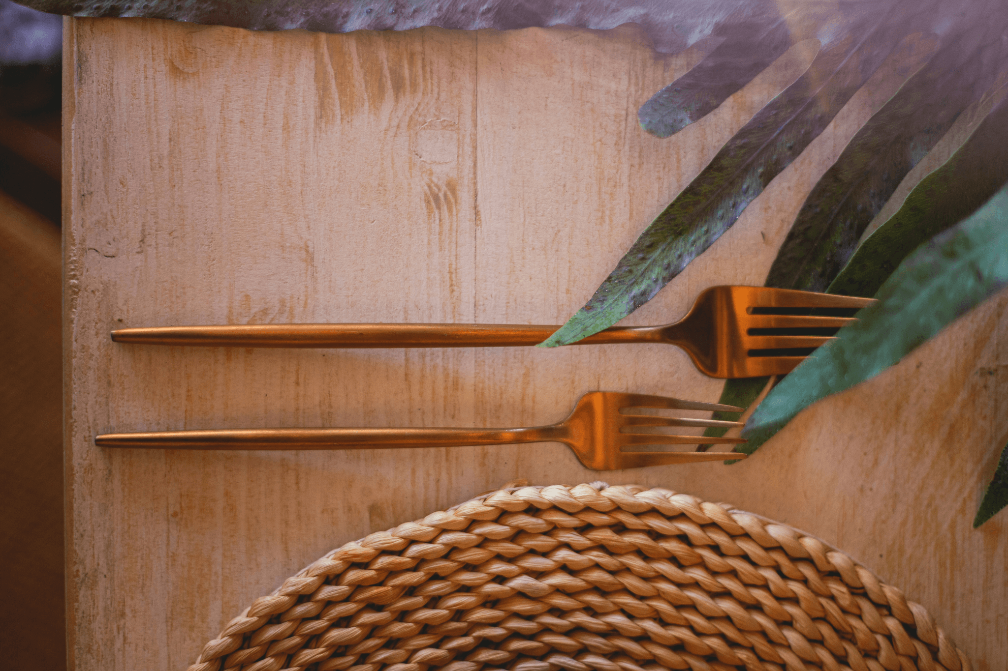 辦活動還在用免洗餐具？2025台灣餐具租借平台教學｜場地租借FAQ｜療寮生活館｜江子翠．板橋 活動場地 藝文空間