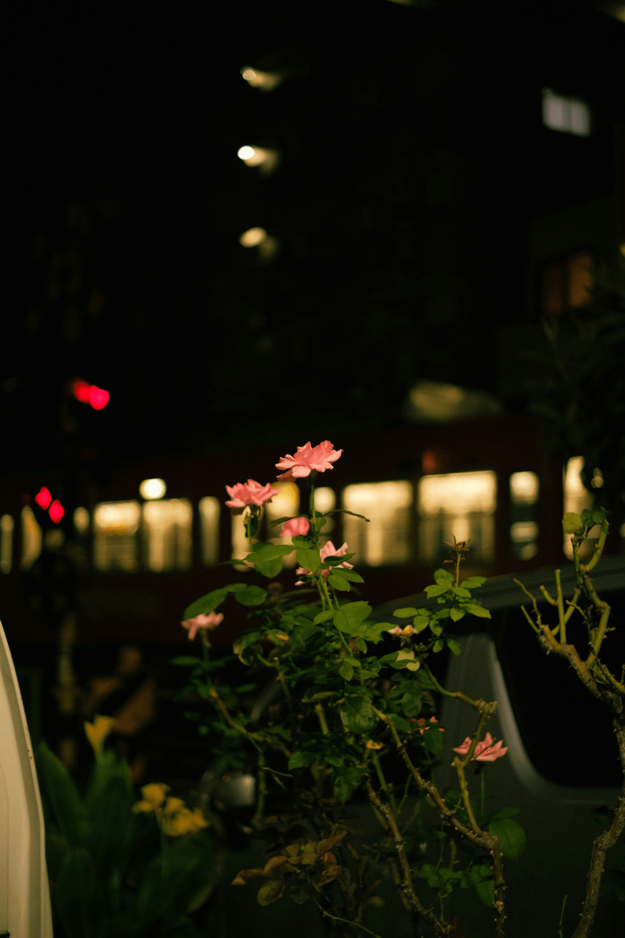 Belle zone paysagée entourant un conteneur élégant