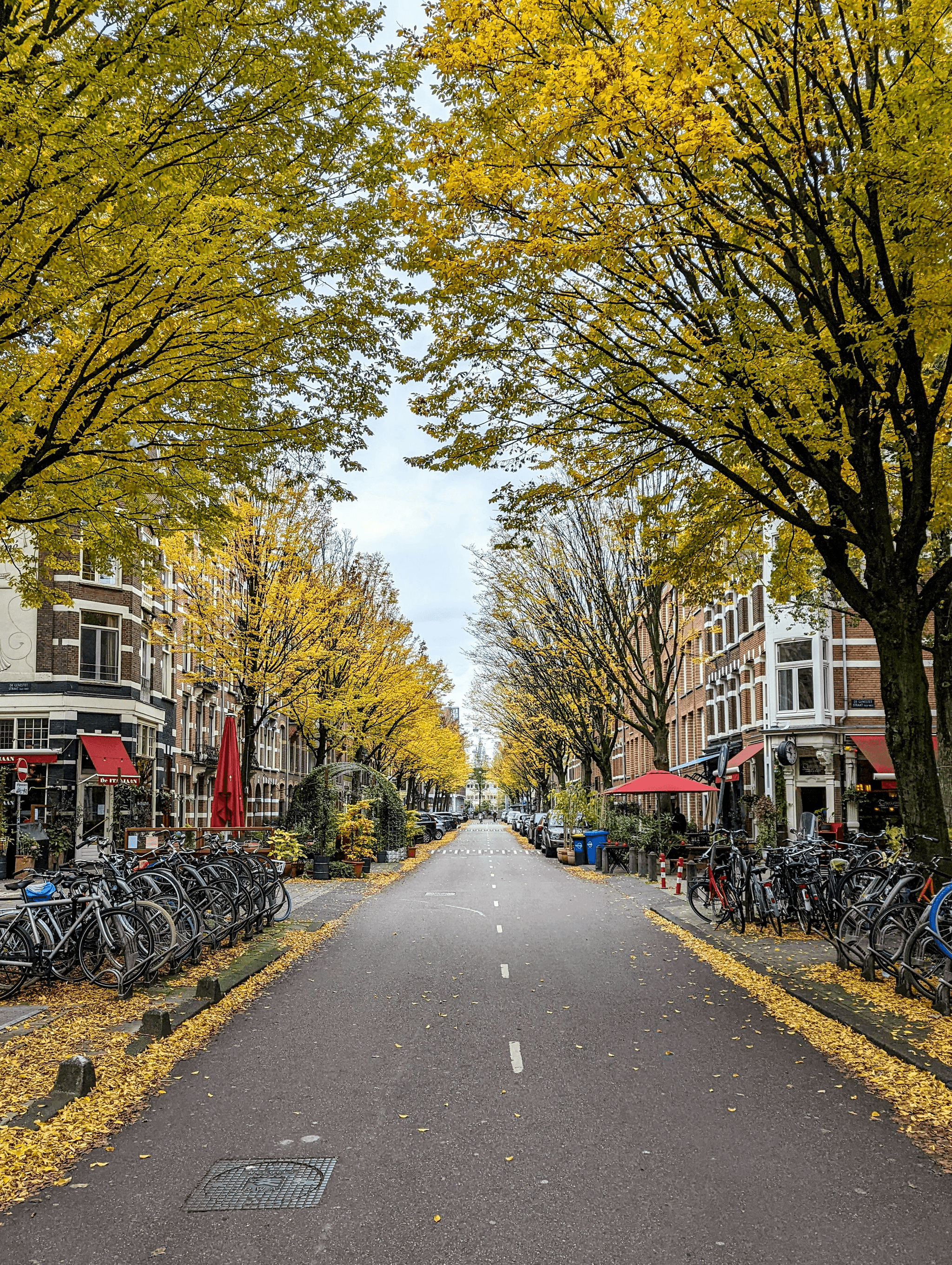 Eco housing: Urban neighborhood with lush green parks