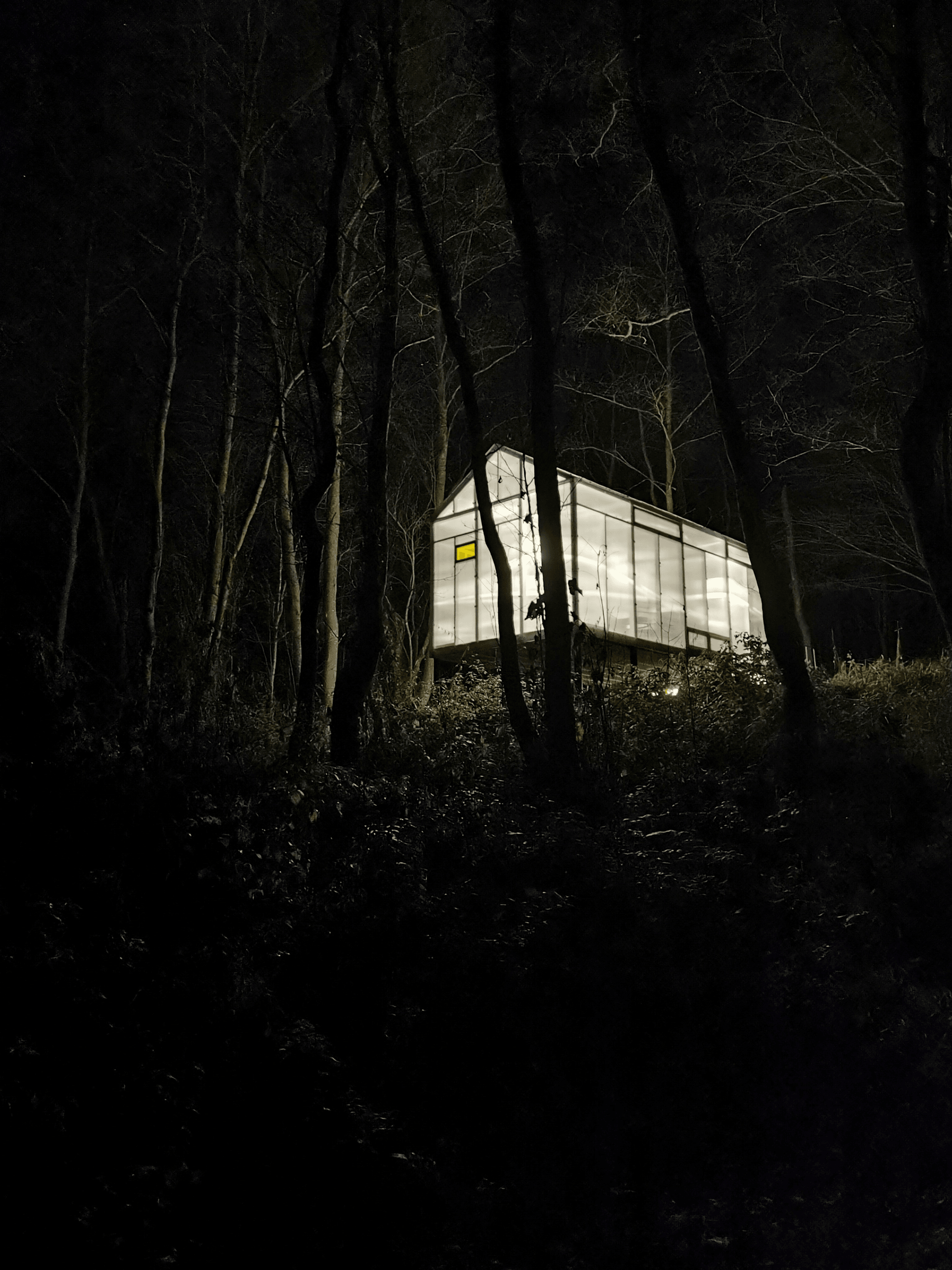 Accessoires extérieurs pour une maison en conteneur métallique élégante