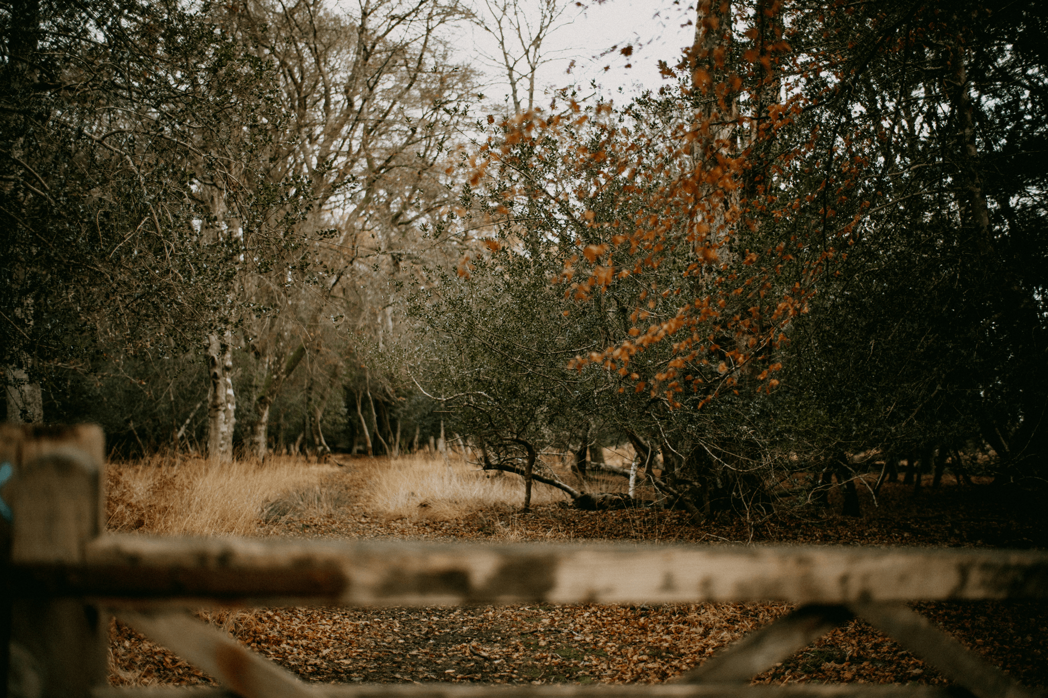 camping sauvage corse