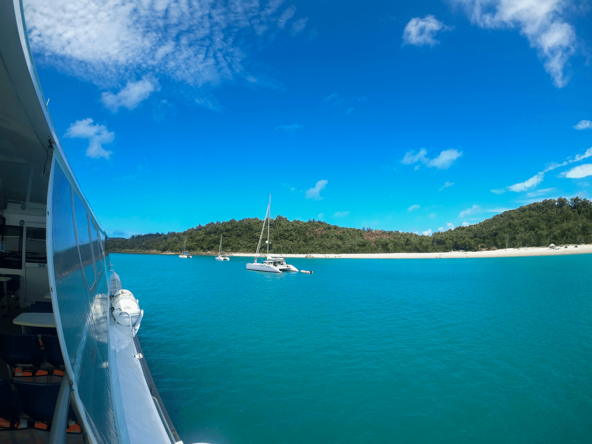 fishing catamaran for sale featuring eco-friendly design and ample comfort