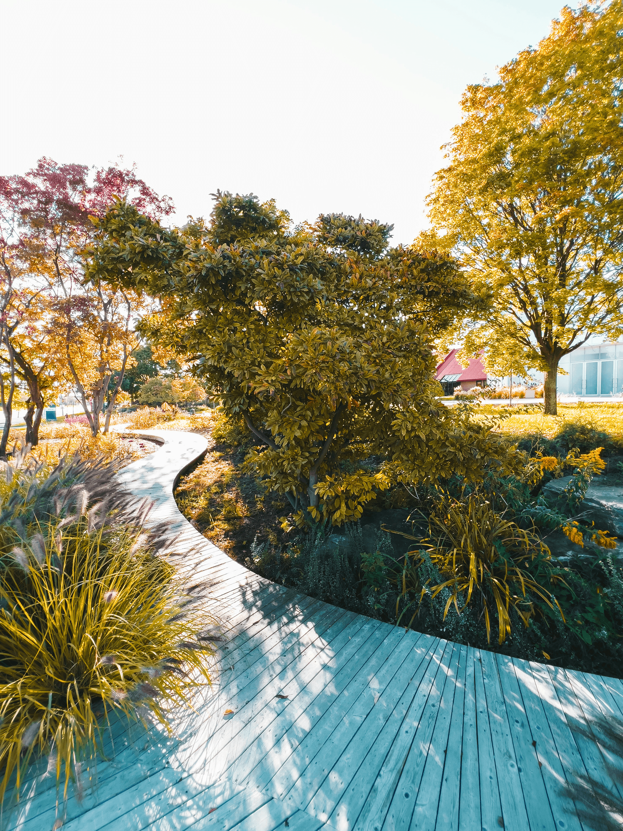 garden design decking solutions for sloped spaces