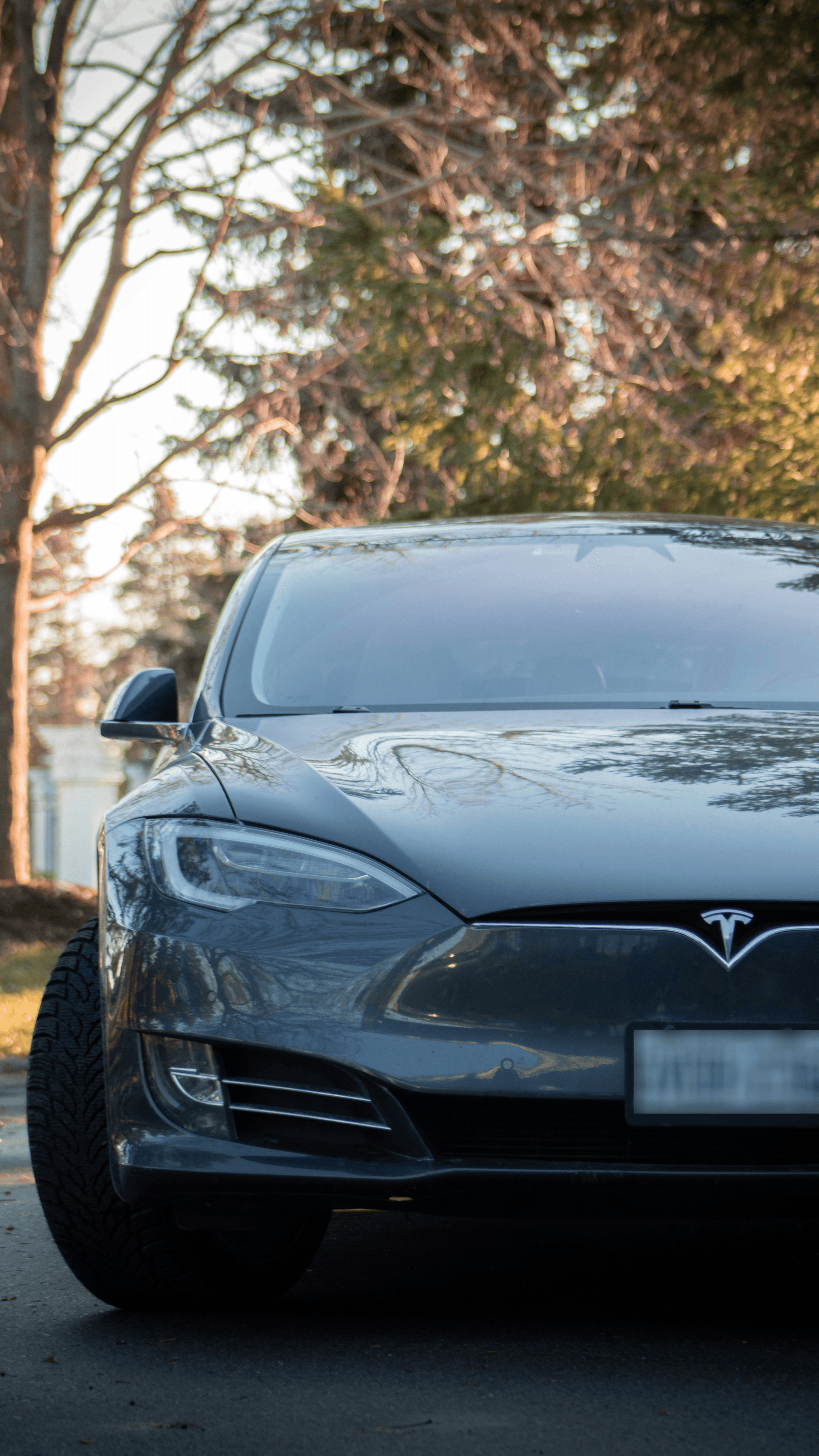 Tesla Modular Homes: A Smart Investment