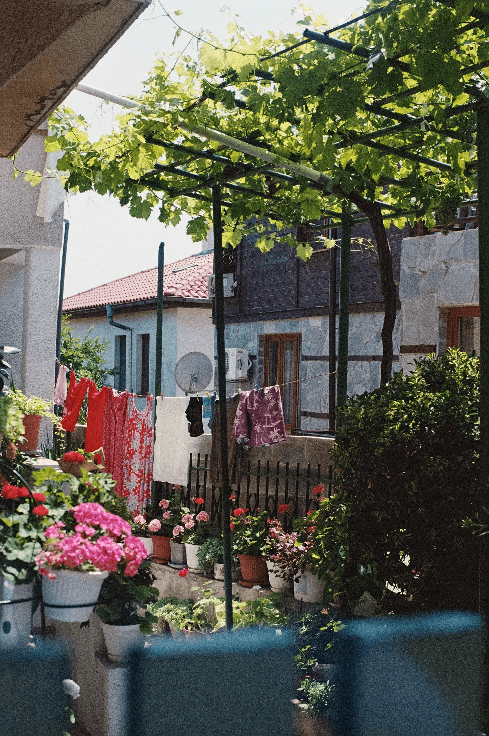 Beautiful landscaping enhances curb appeal for a stylish container residence.