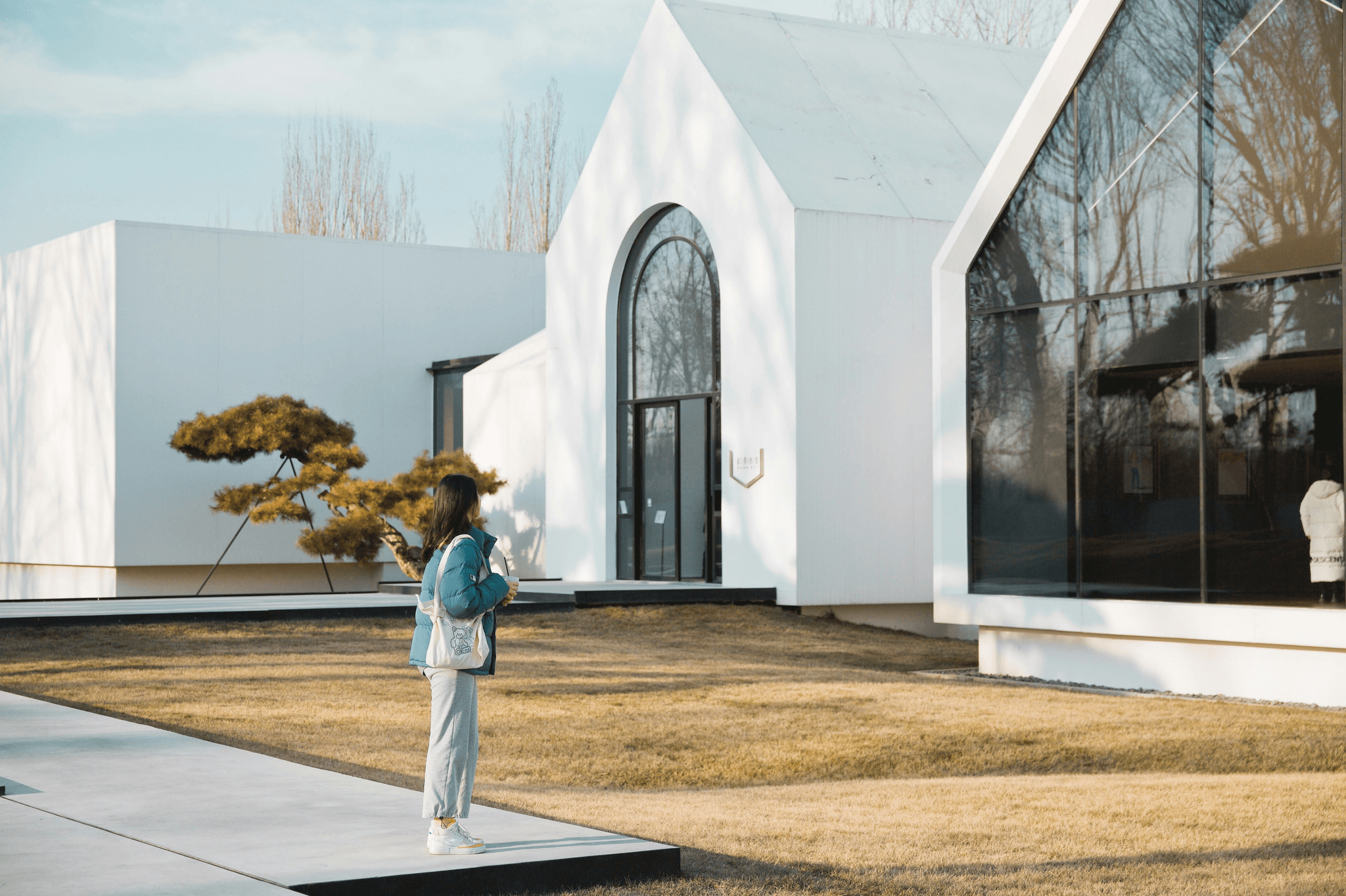 Chinese modular home with solar panels