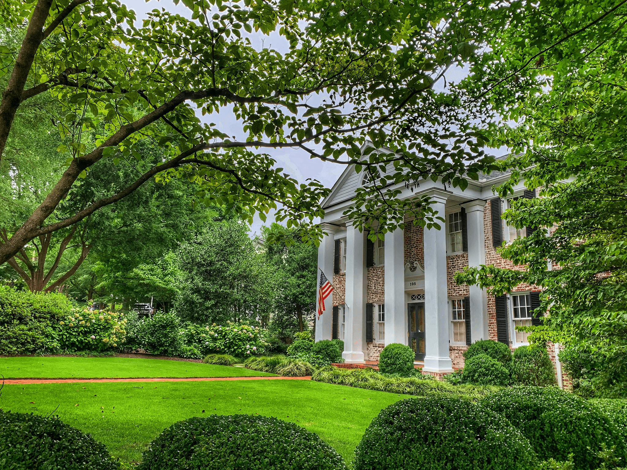 Eco-friendly conex houses nestled in nature