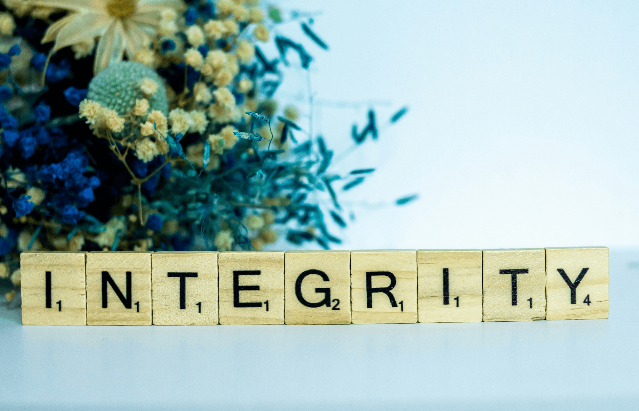 Compliance in procurement and ethical standards.