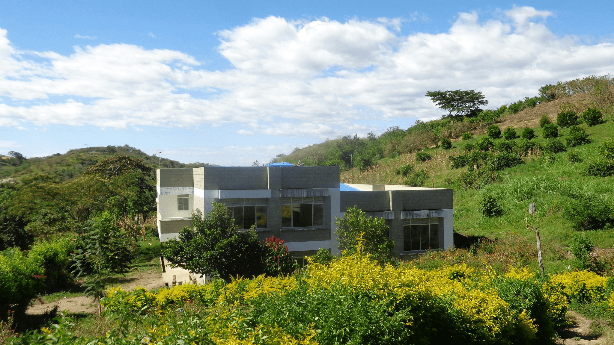Eco housing solutions with modern design and natural surroundings