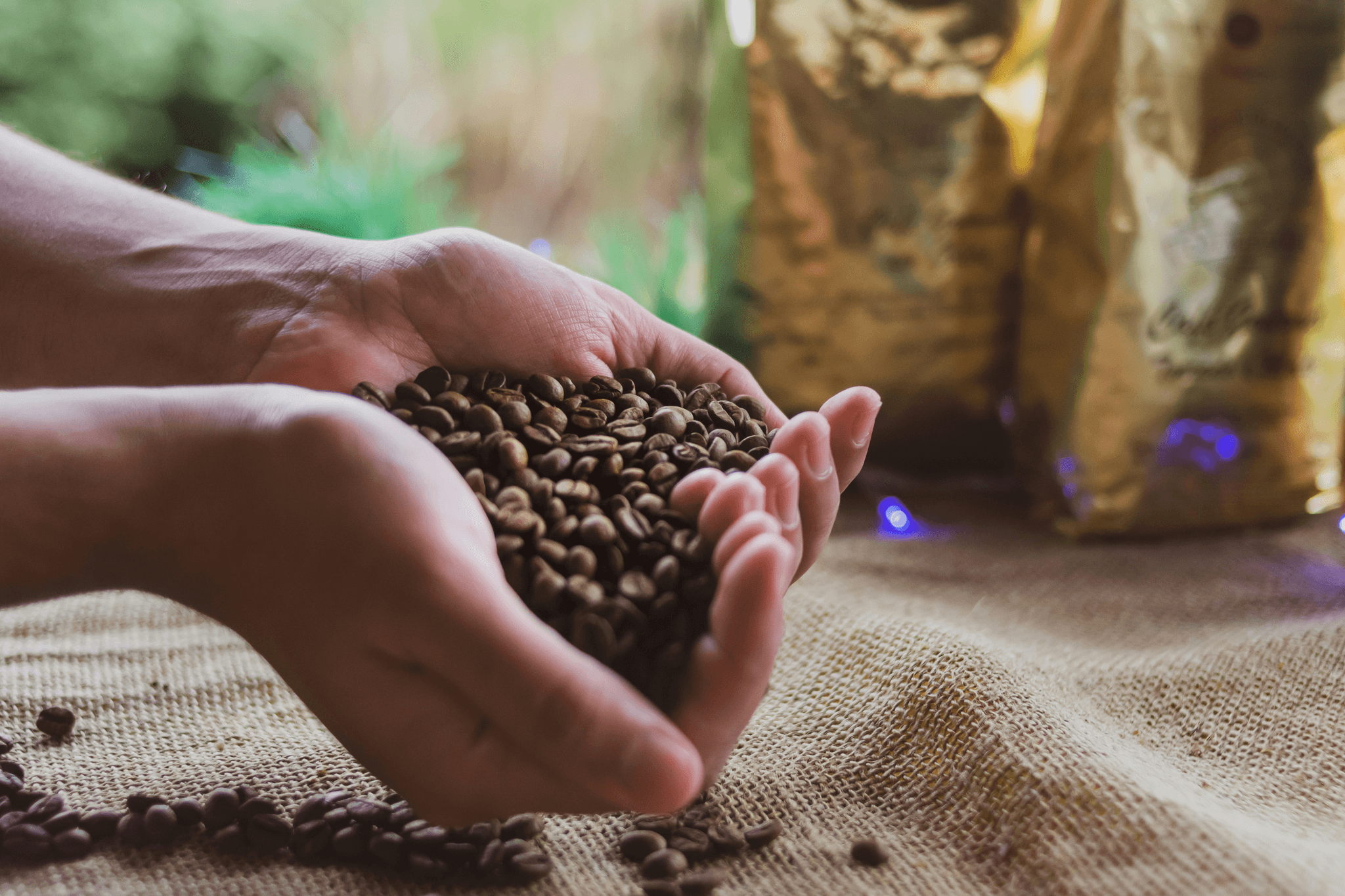 Ethical considerations in coffee sourcing highlighted by SSOURCING INC.