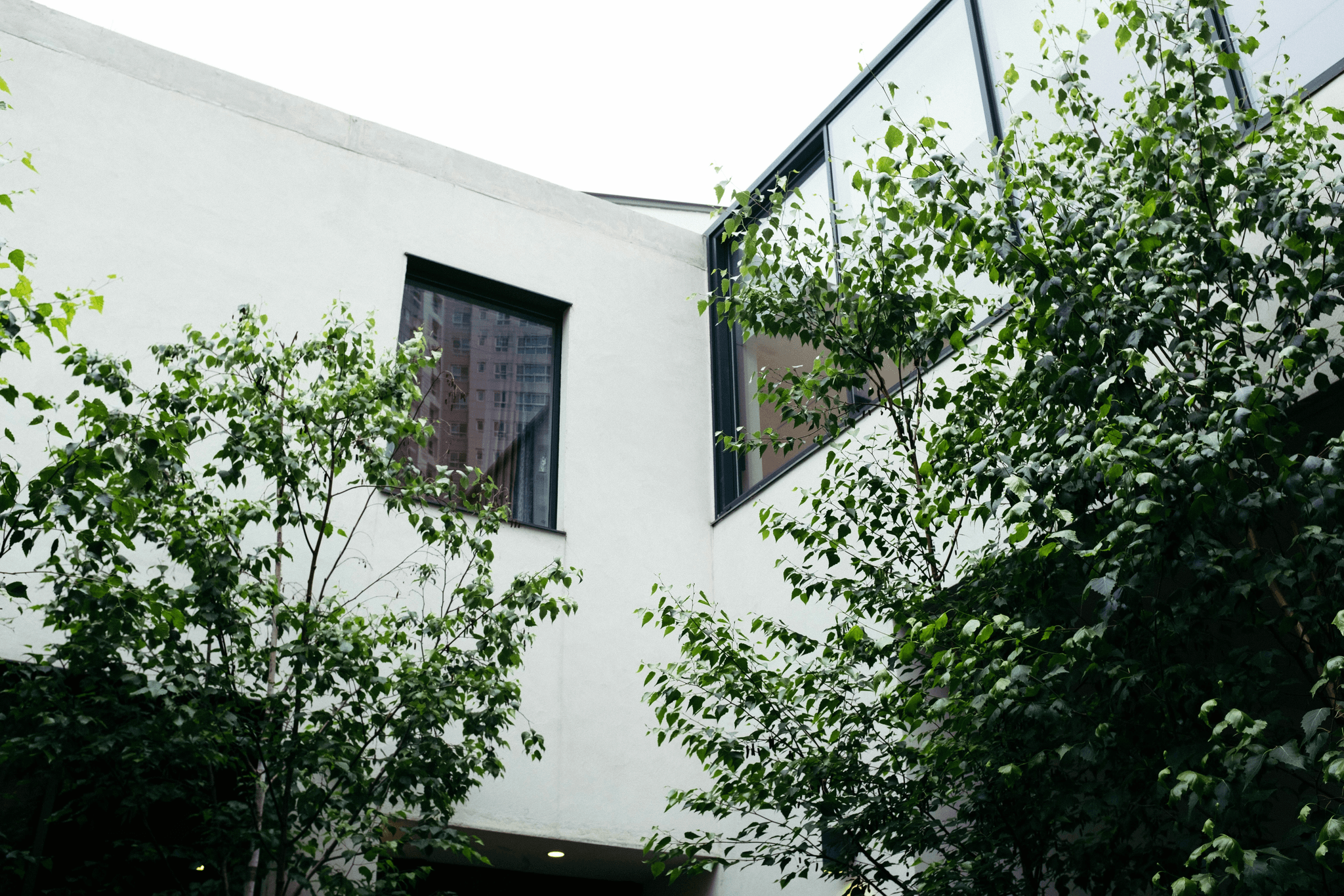 Two story modular office promoting sustainability with natural light and greenery.