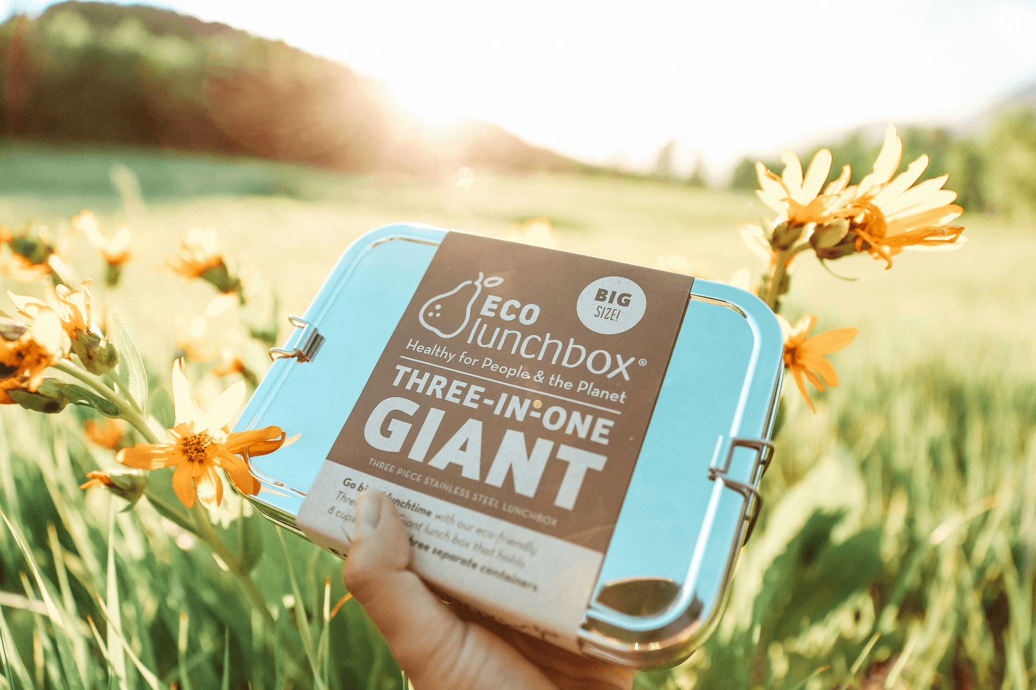 隔夜飯能吃嗎？便當族必看！醫師教你正確加熱與保存法｜淺顯易懂的行醫筆記｜療寮診所．板橋江子翠｜家醫科診所．健保一般科