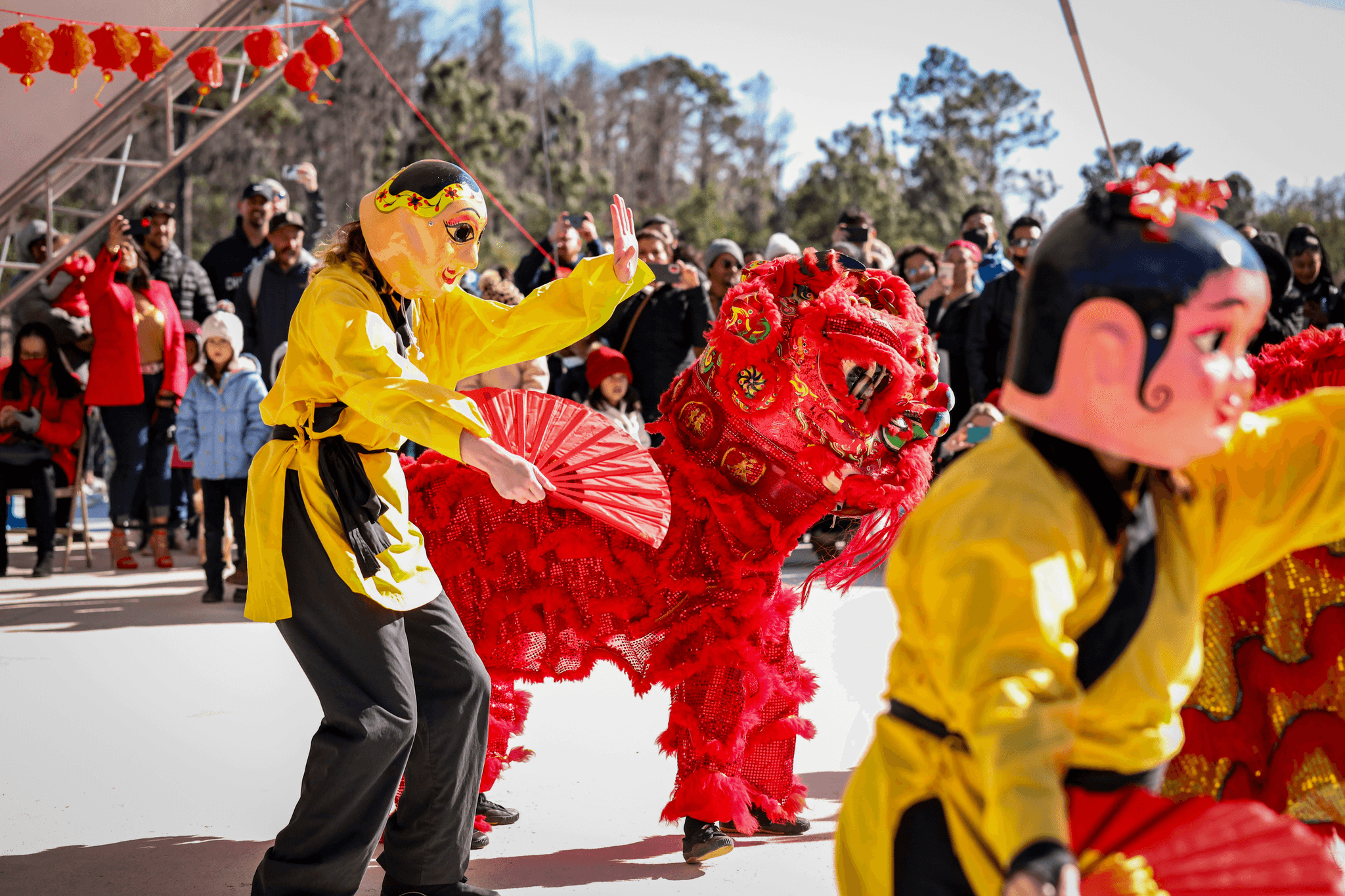 Traditional Chinese New Year lion dance performance