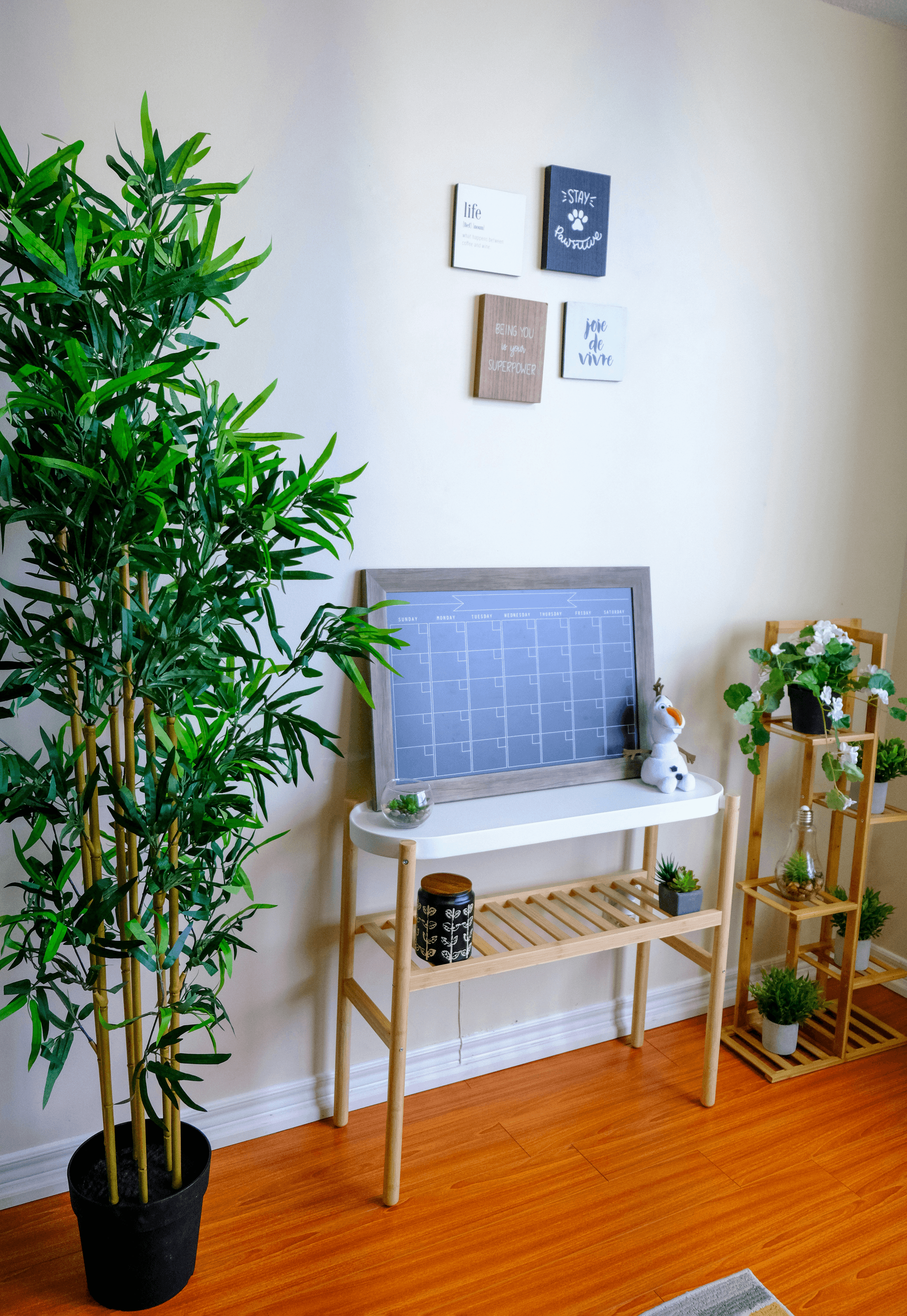 sustainable material sourcing showcased through eco-friendly products