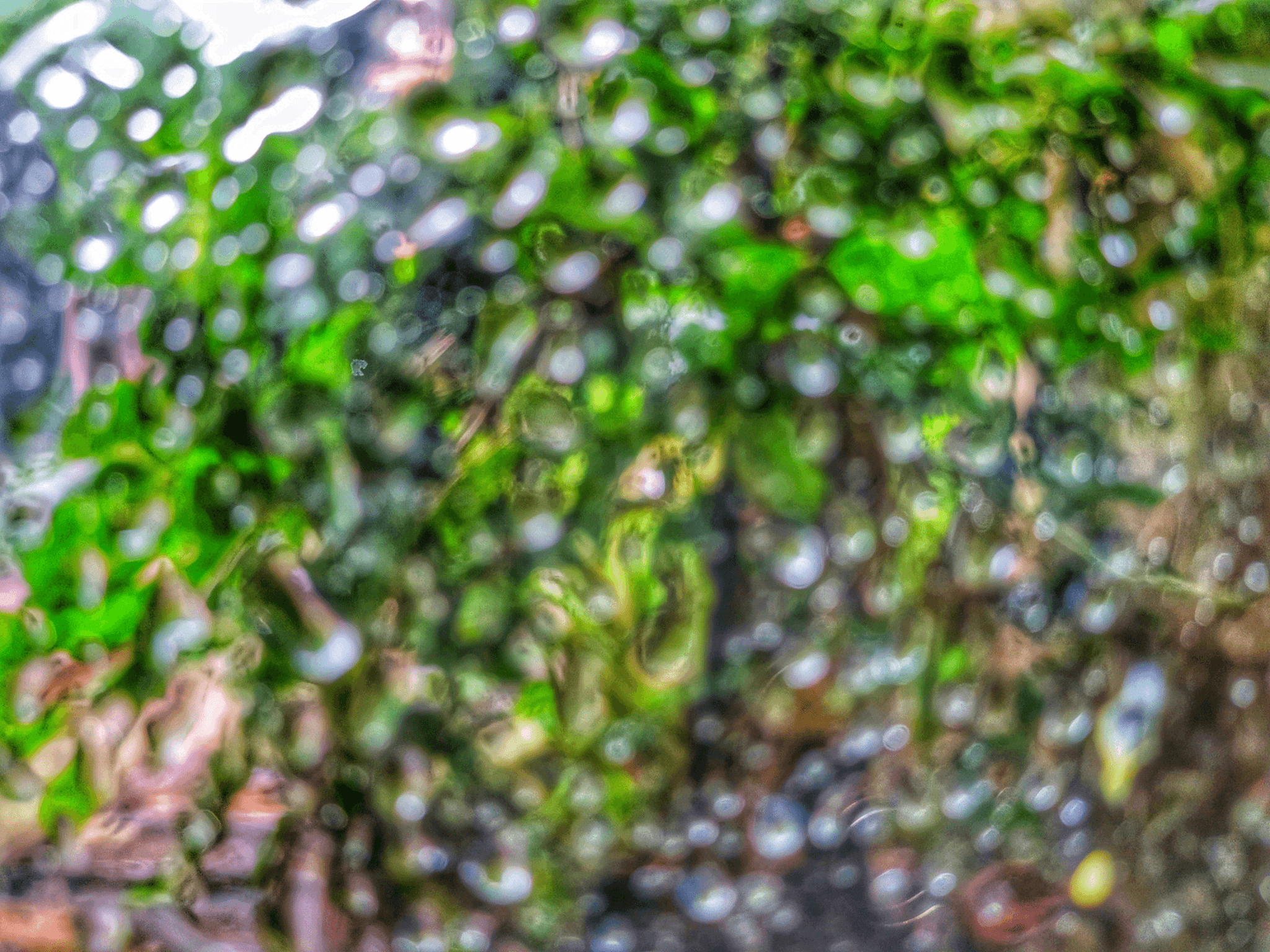 Exploring waterborne polyurethane as an eco-friendly coating solution