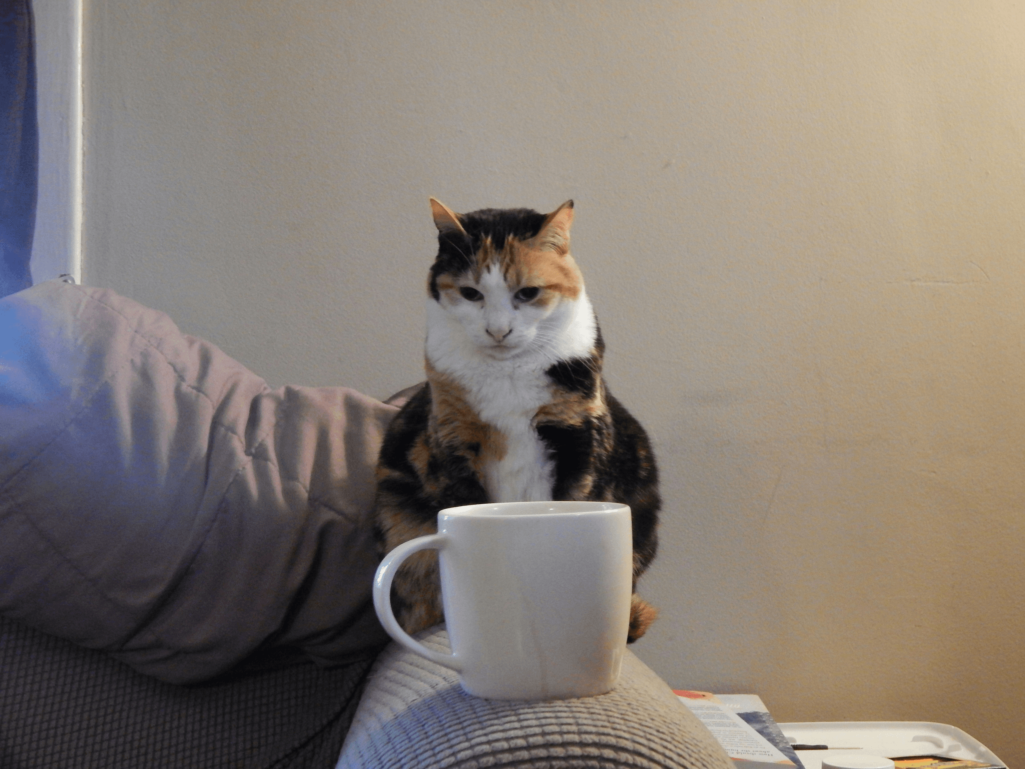 活動場地為什麼會限制人數？從共享空間的「人流計價邏輯」說起｜場地租借FAQ｜療寮生活館｜江子翠．板橋 活動場地 藝文空間