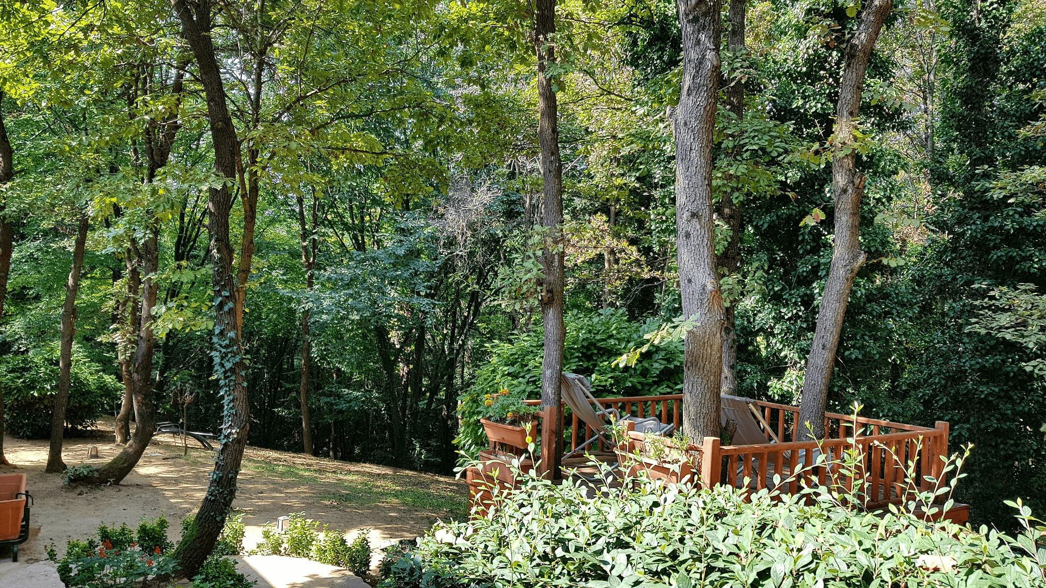 decking in the garden enhances outdoor beauty with raised beds