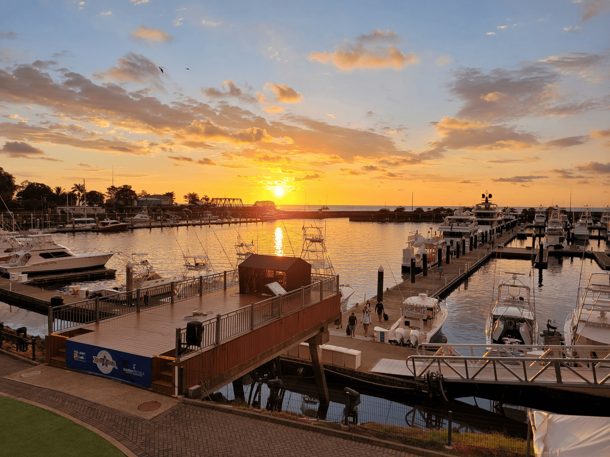 Beautiful view of commercial charter boats at marina.
