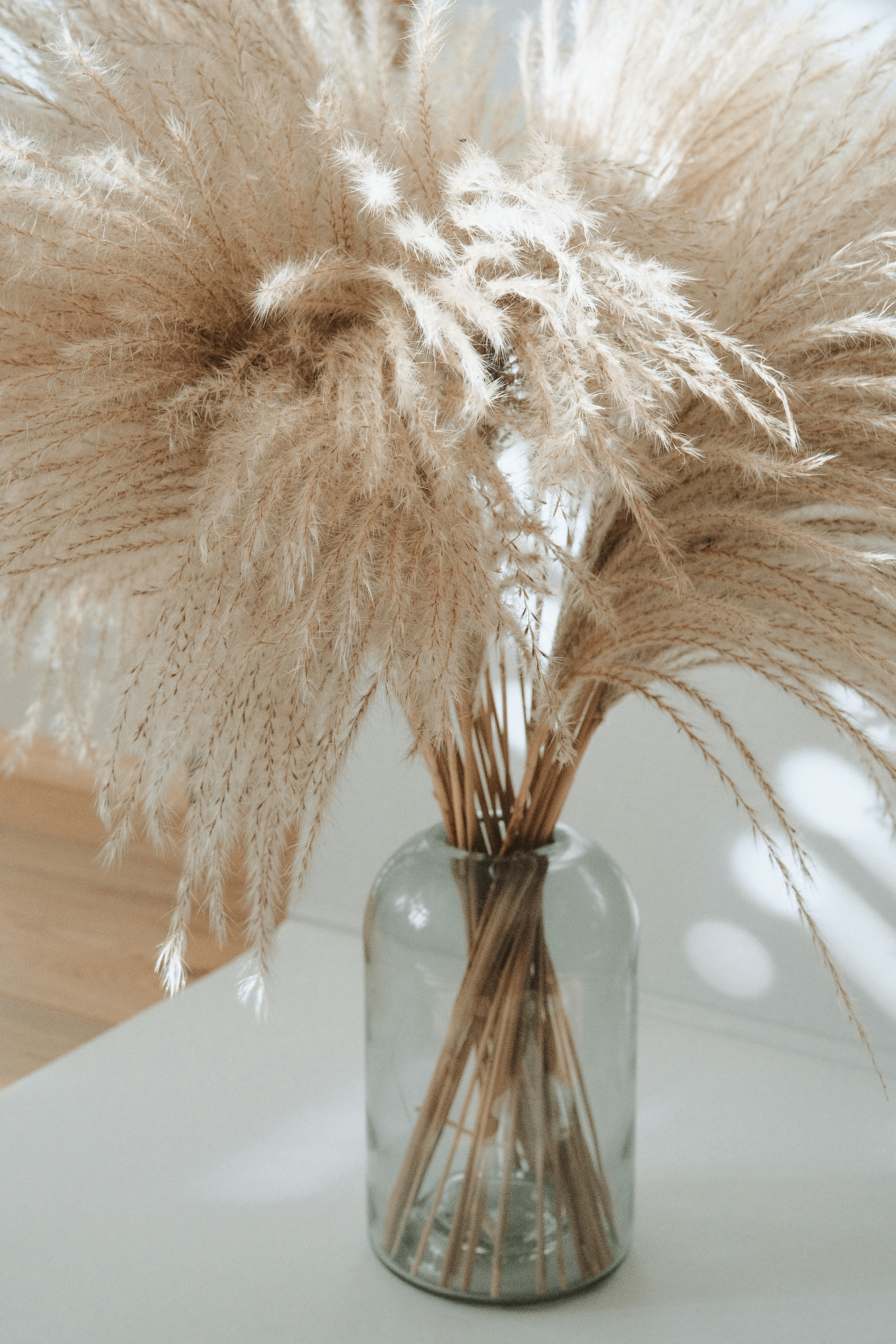 dried floral arrangement with pampas grass, bunny tails, and bleached ruscus.