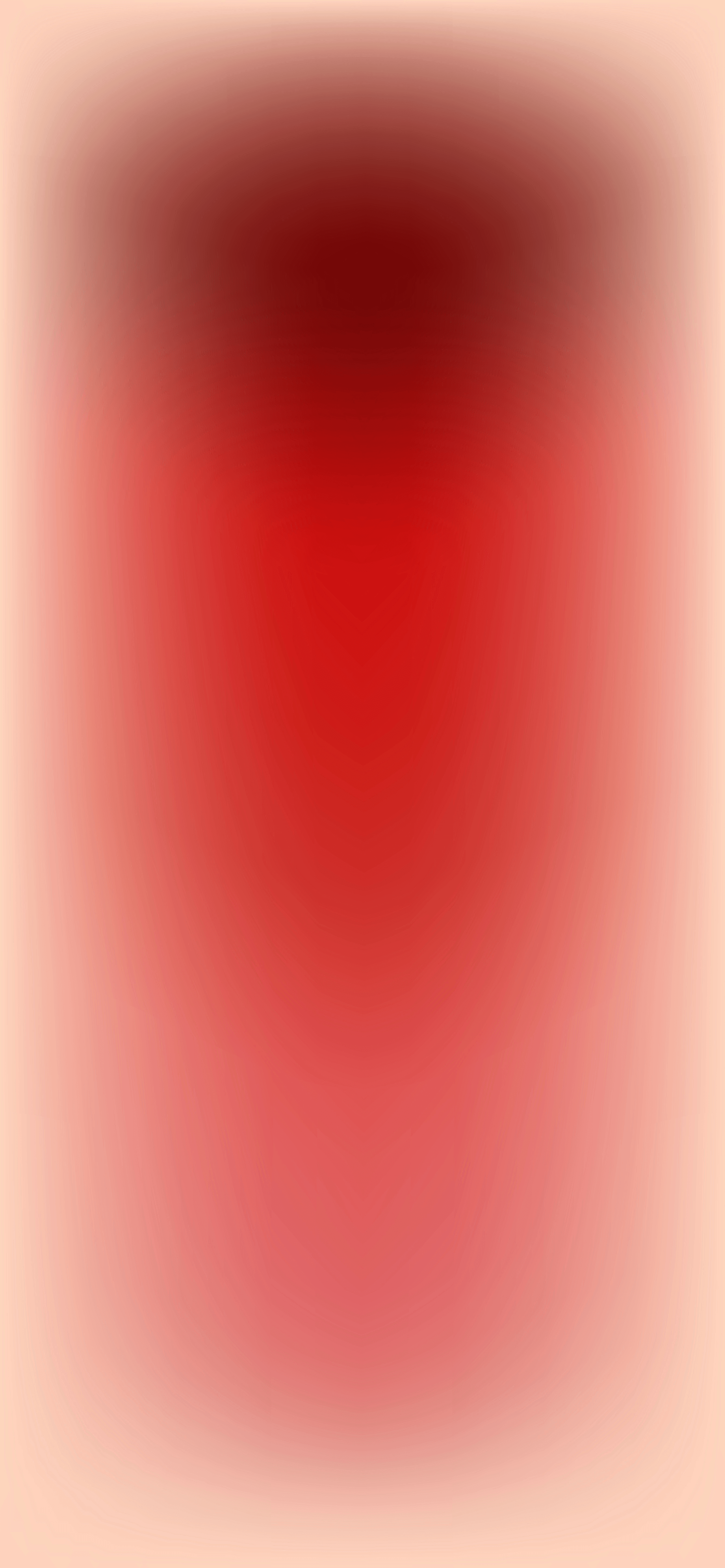 Teen Curator at the Hill Art Foundation Arts Paid