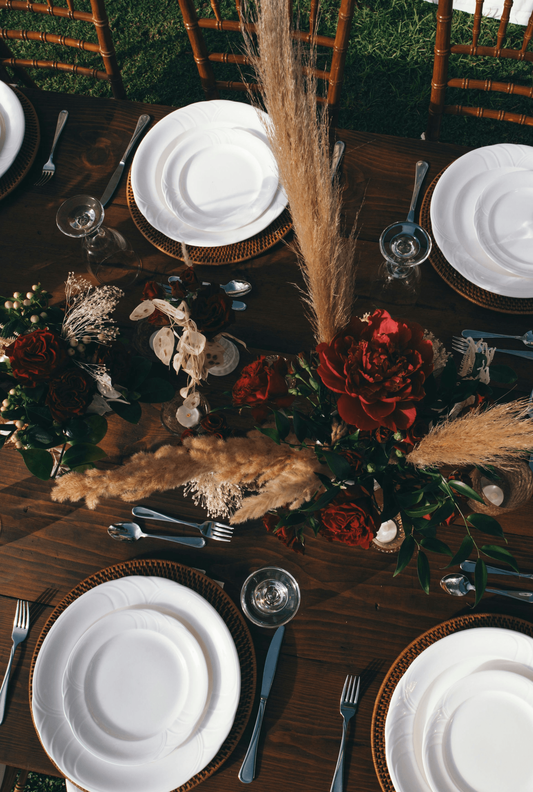 is pampas grass toxic to cats