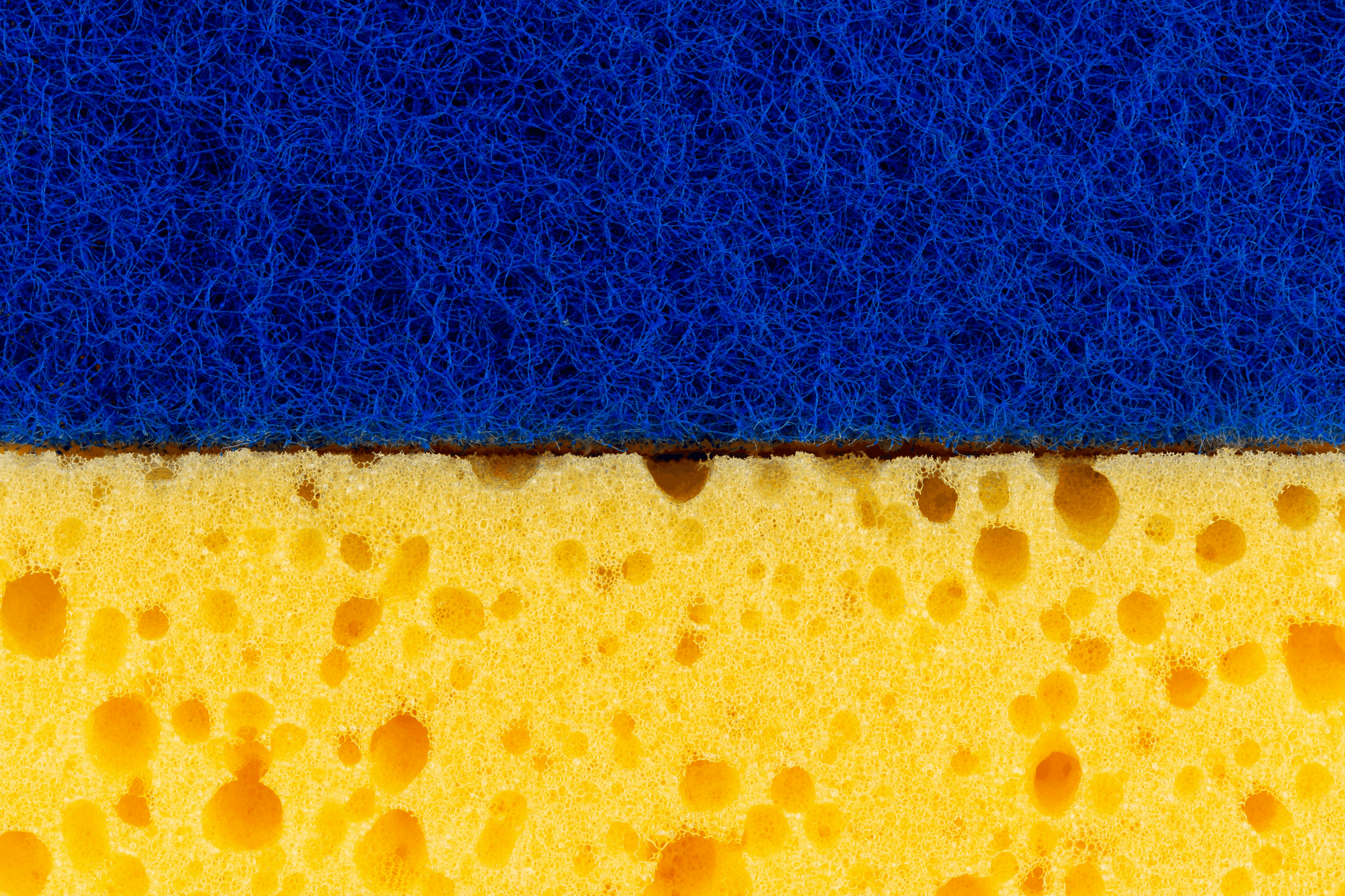 Proper Sponge Inspection techniques following international standards