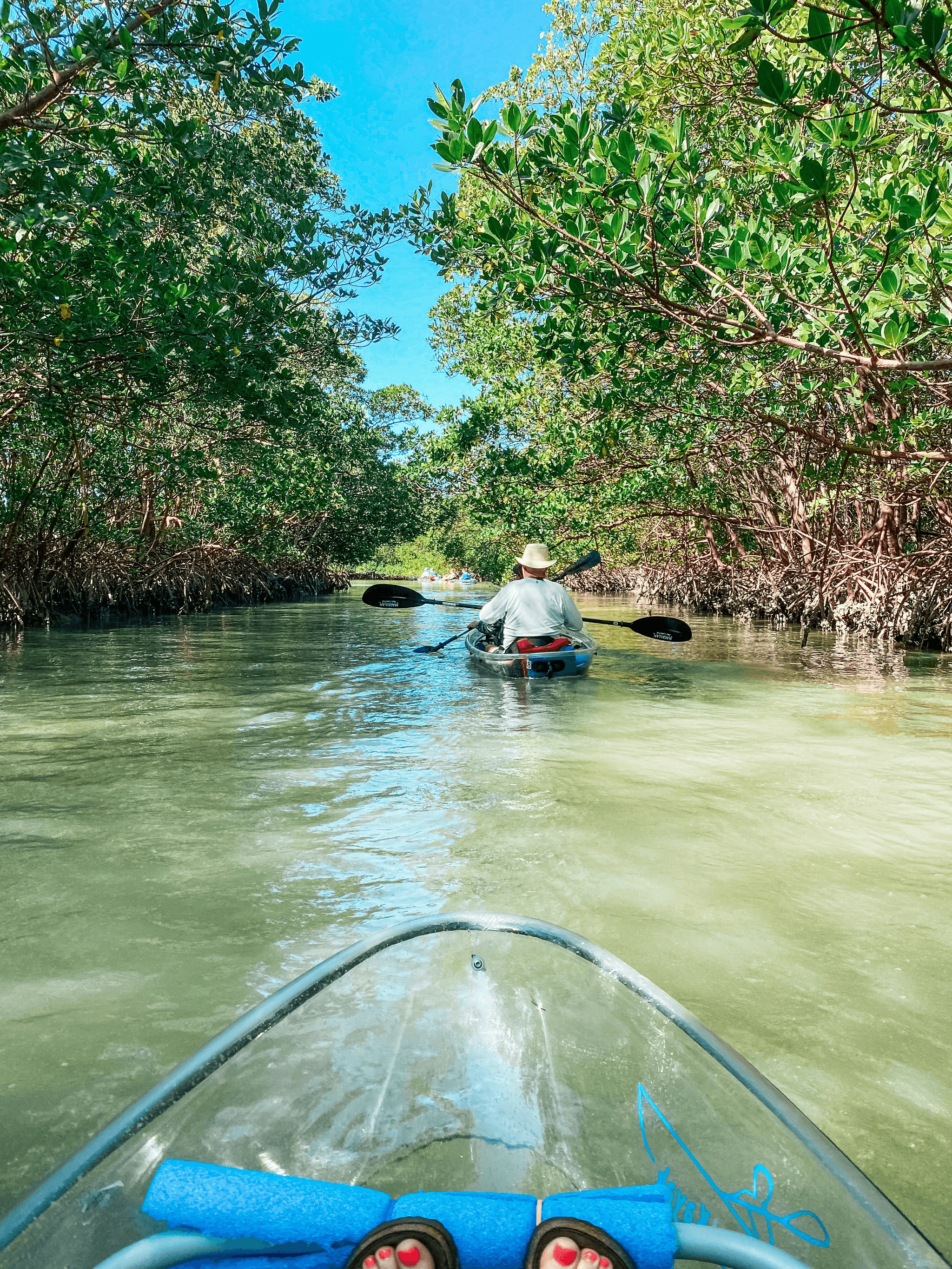 canyoning en guadeloupe