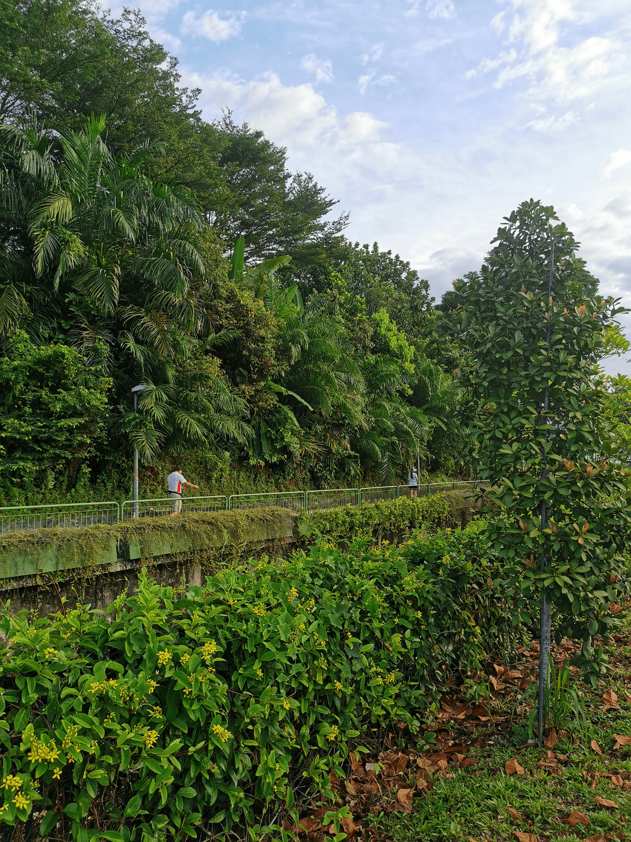 Sustainable landscaping techniques for prefabricated duplexes