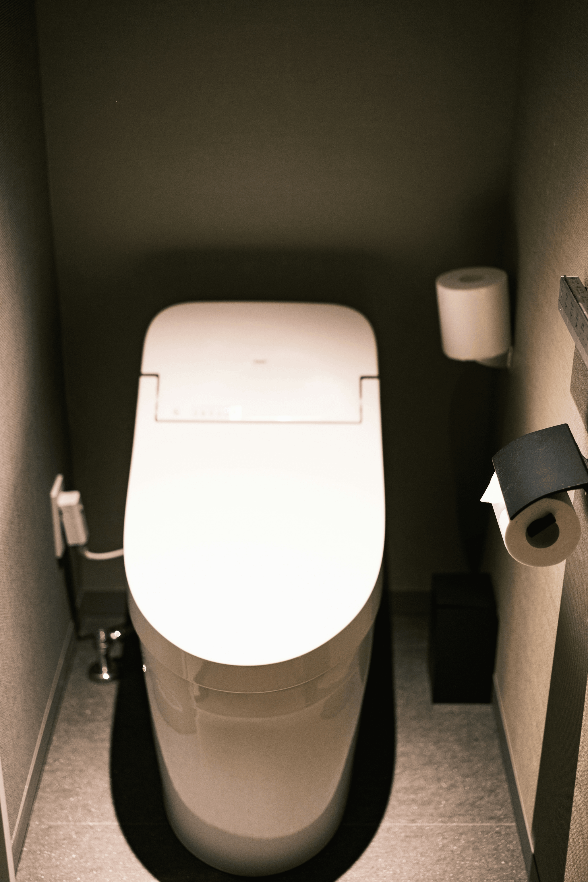 Sleek and modern bathroom with tankless toilet