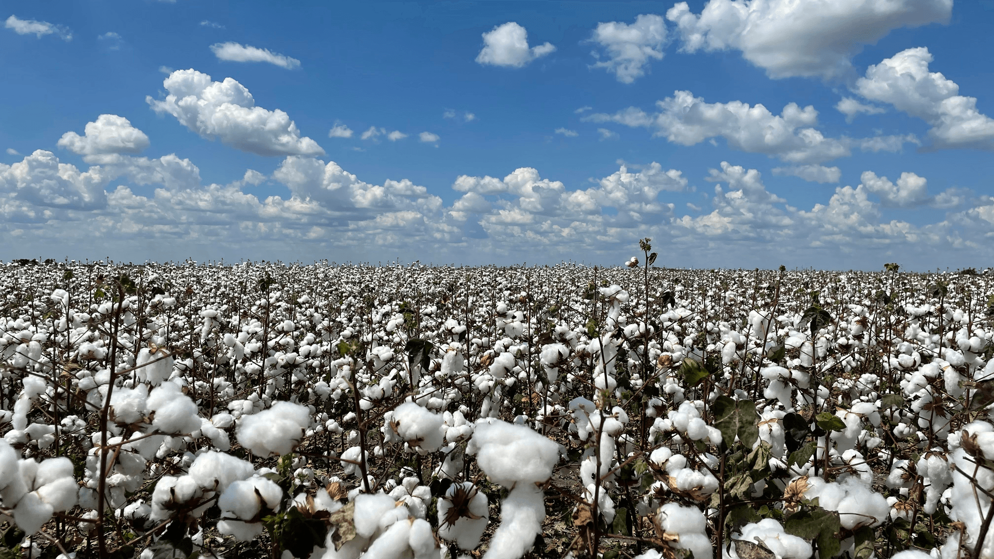Home Textile Inspection related image highlighting sustainable practices