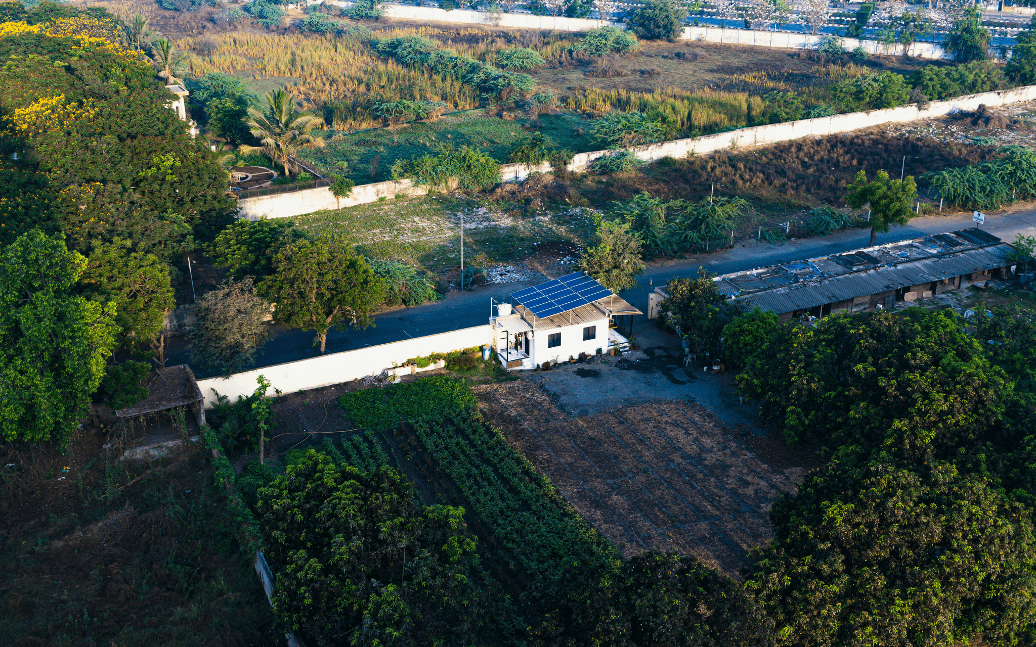 Energy-efficient prefabricated farm house surrounded by nature