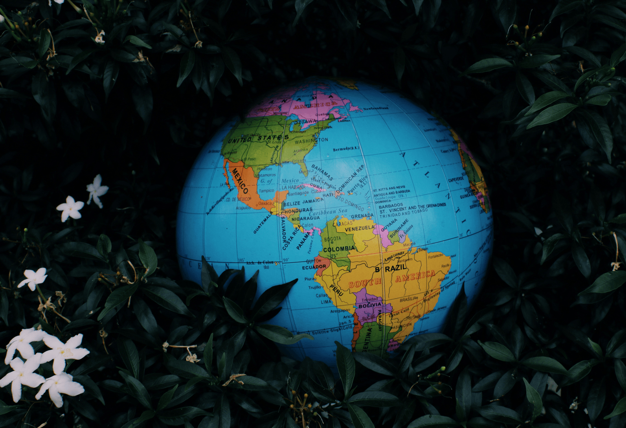 Ethical sourcing globe illustration surrounded by sustainable symbols