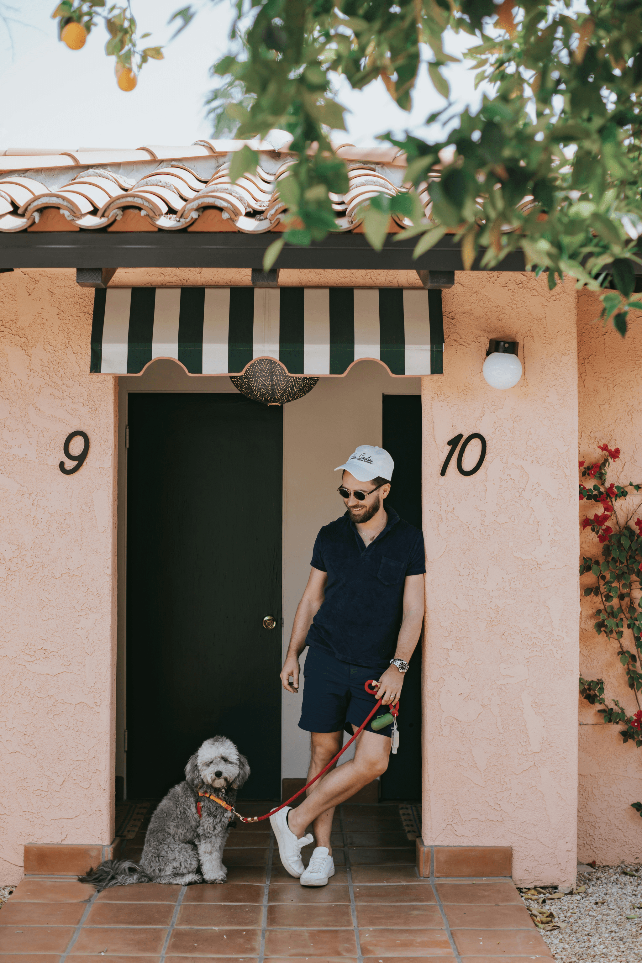 尋找寵物友善場地？為毛孩決定場地前必先了解的6件事｜場地租借小百科｜療寮生活館｜江子翠．板橋 活動場地 藝文空間