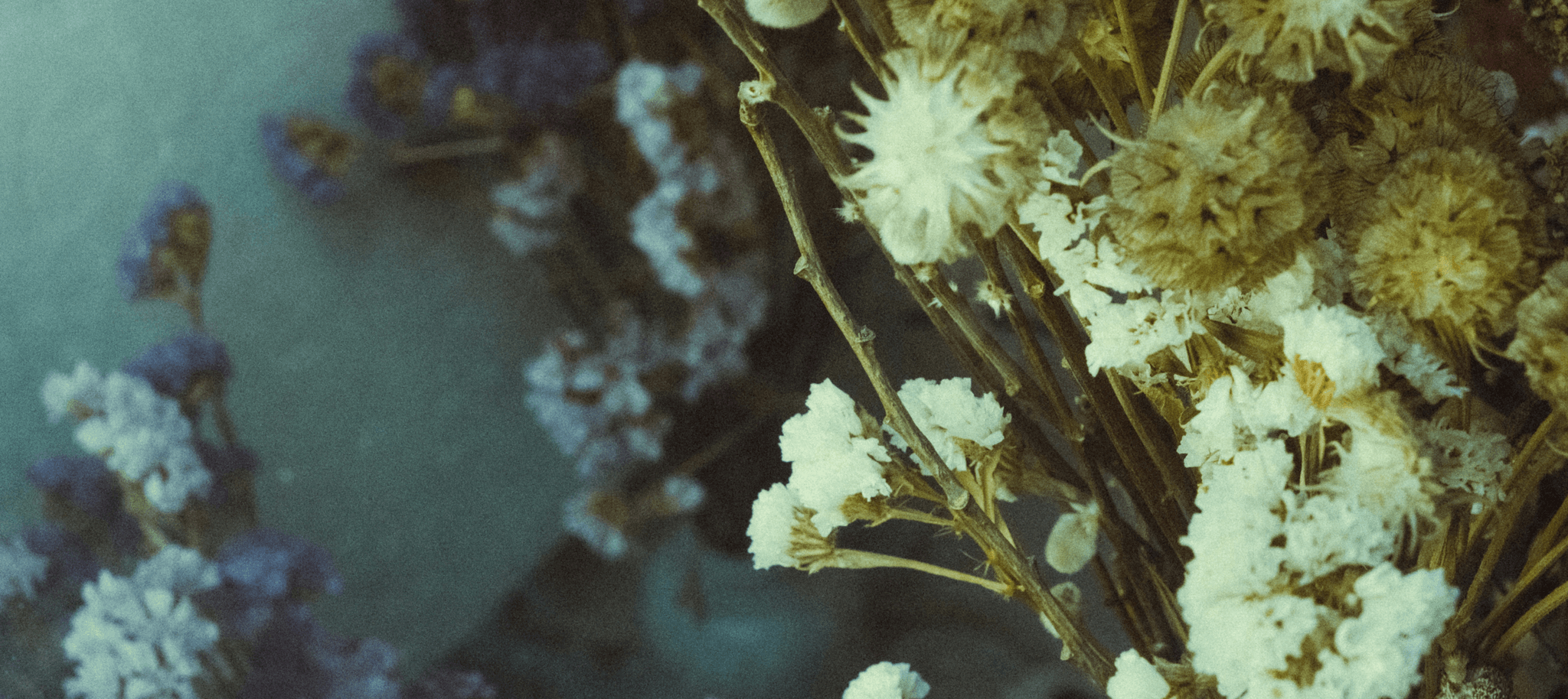 how long do dried flowers last in a decorative arrangement