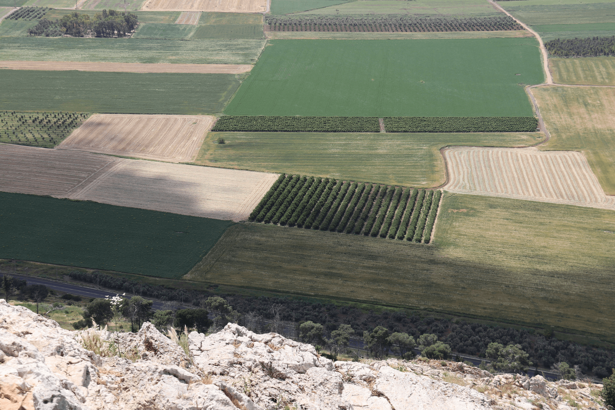 Sun'Agri präsentiert die zweite Agrivoltaik-Demonstration in Frankreich