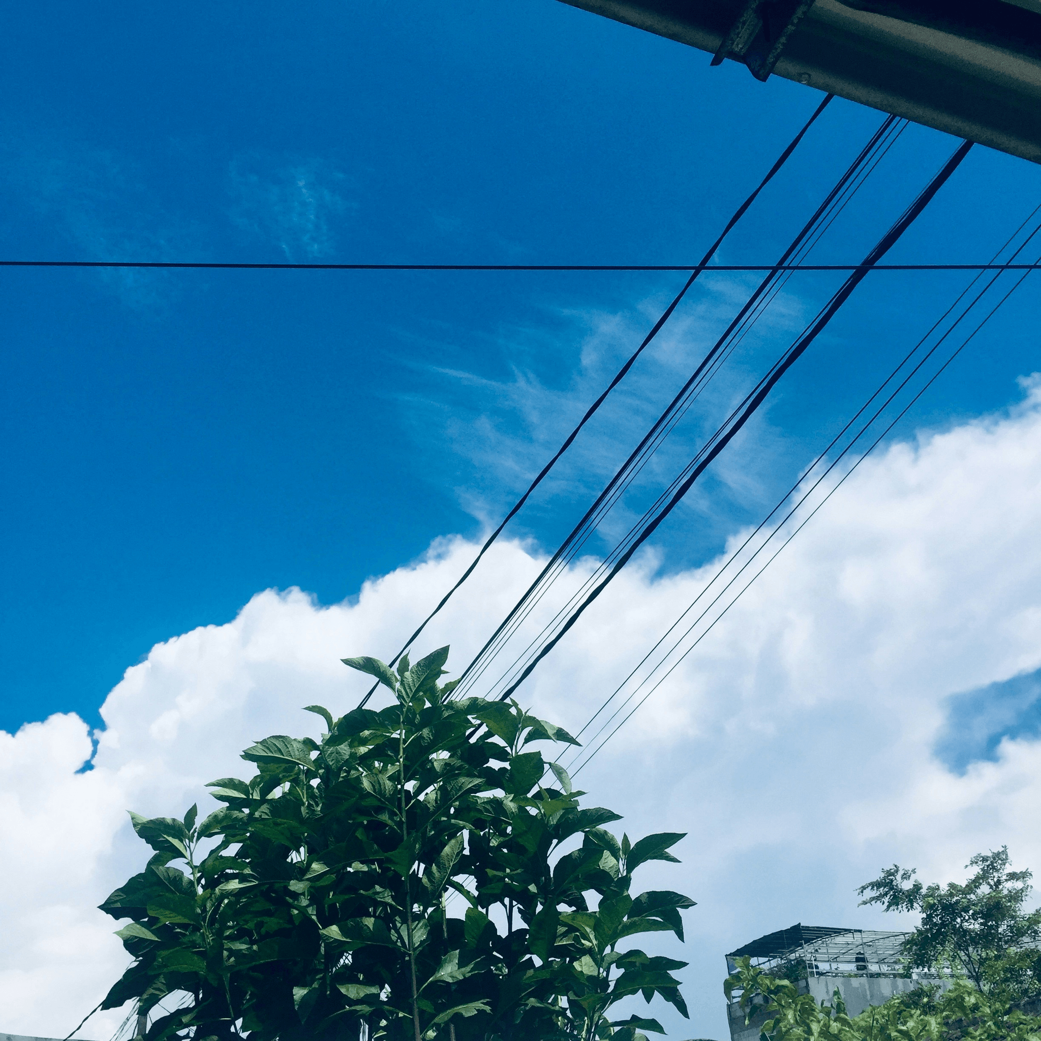 Different types of guide wire power pole materials used.