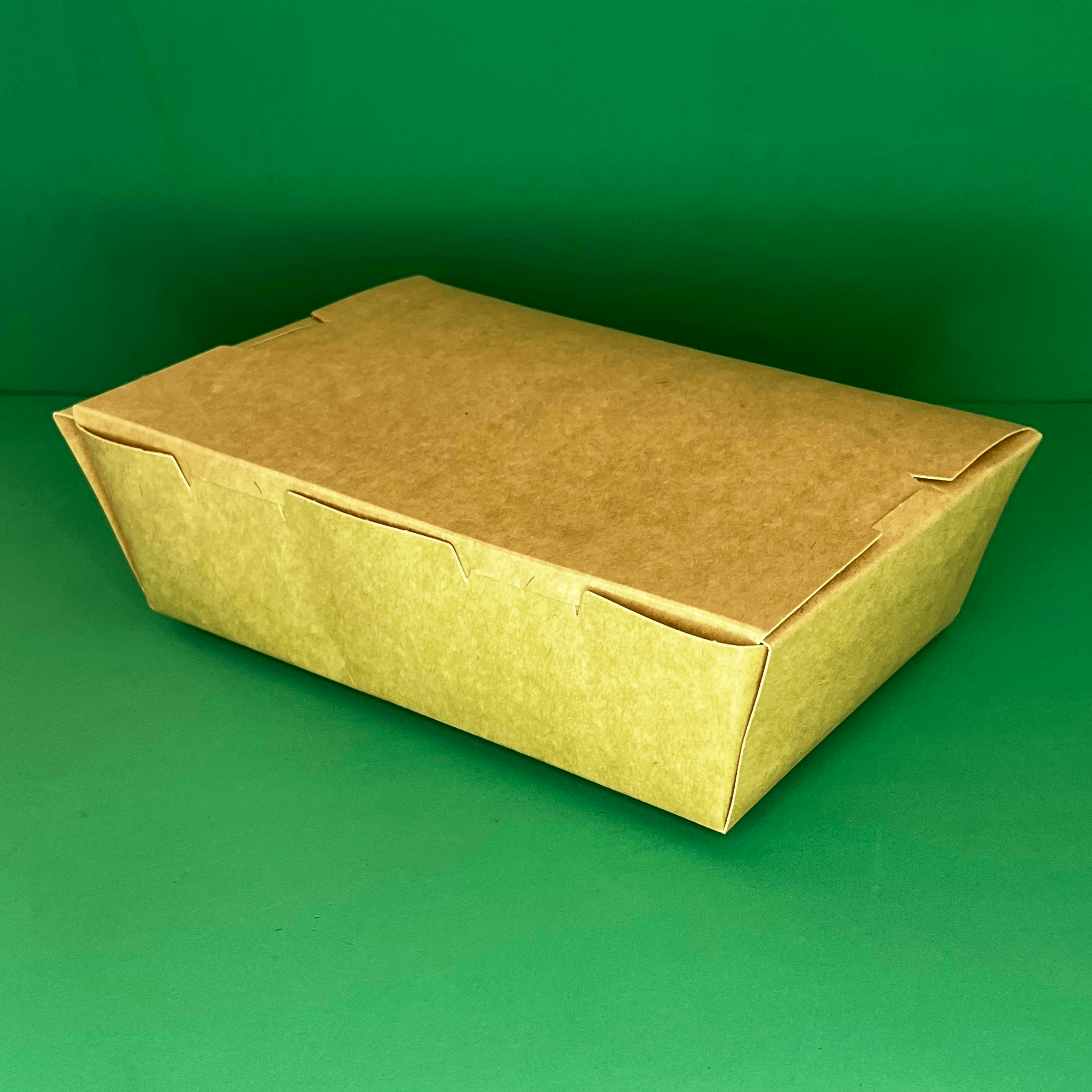 Eco-friendly custom chinese take out boxes showcasing sustainable design.