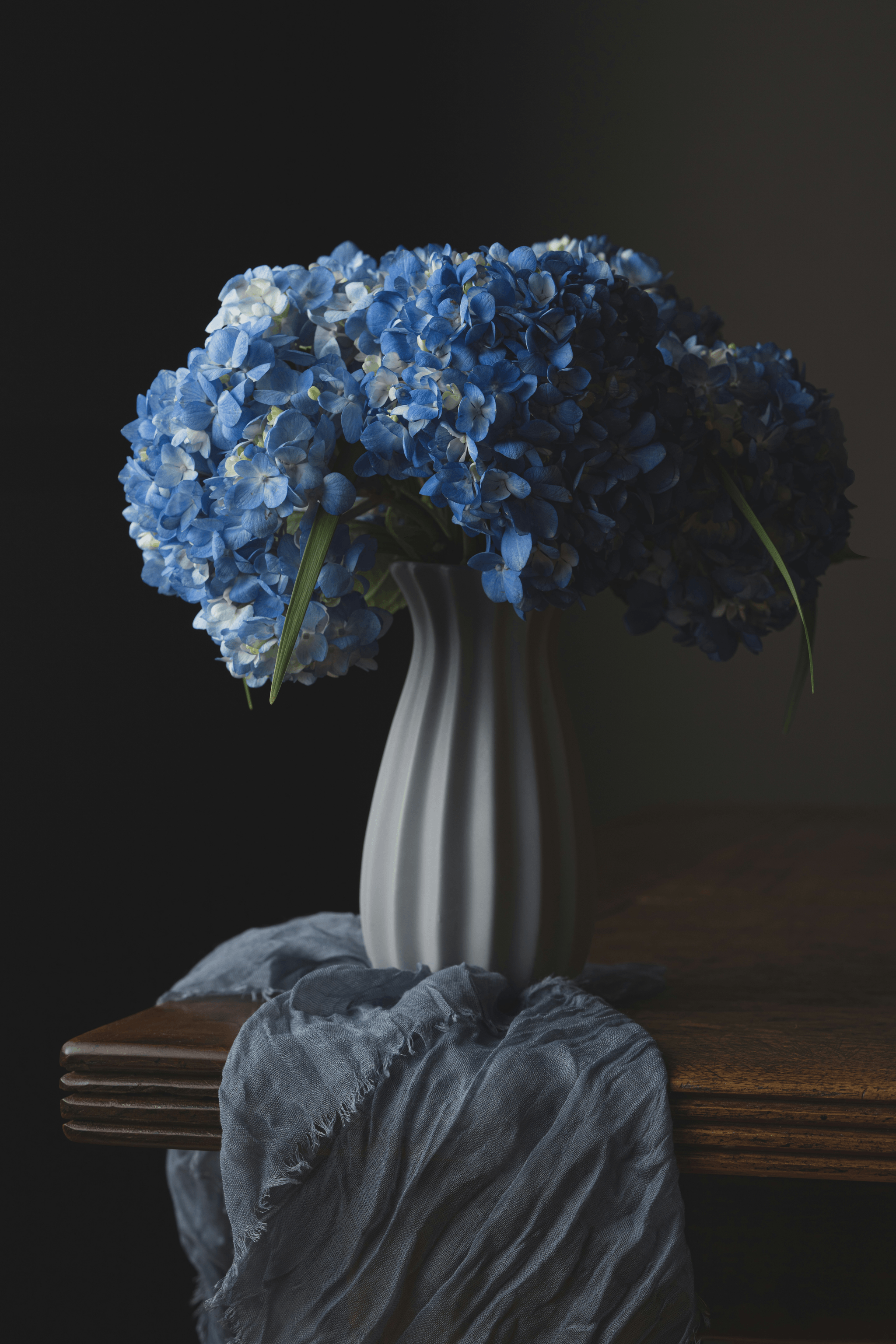 Drying Hydrangeas - Premium Dried Floral Products