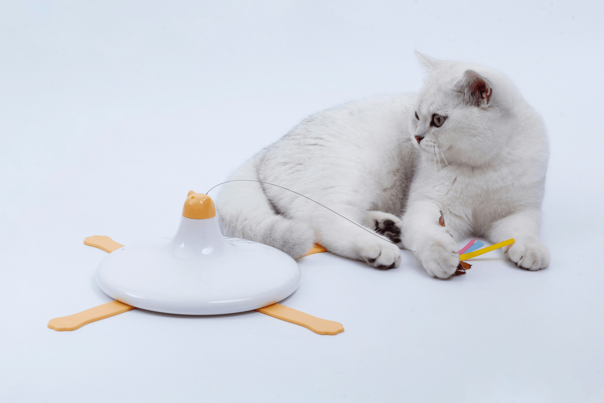 Automatic cat toy for enhanced feline life.